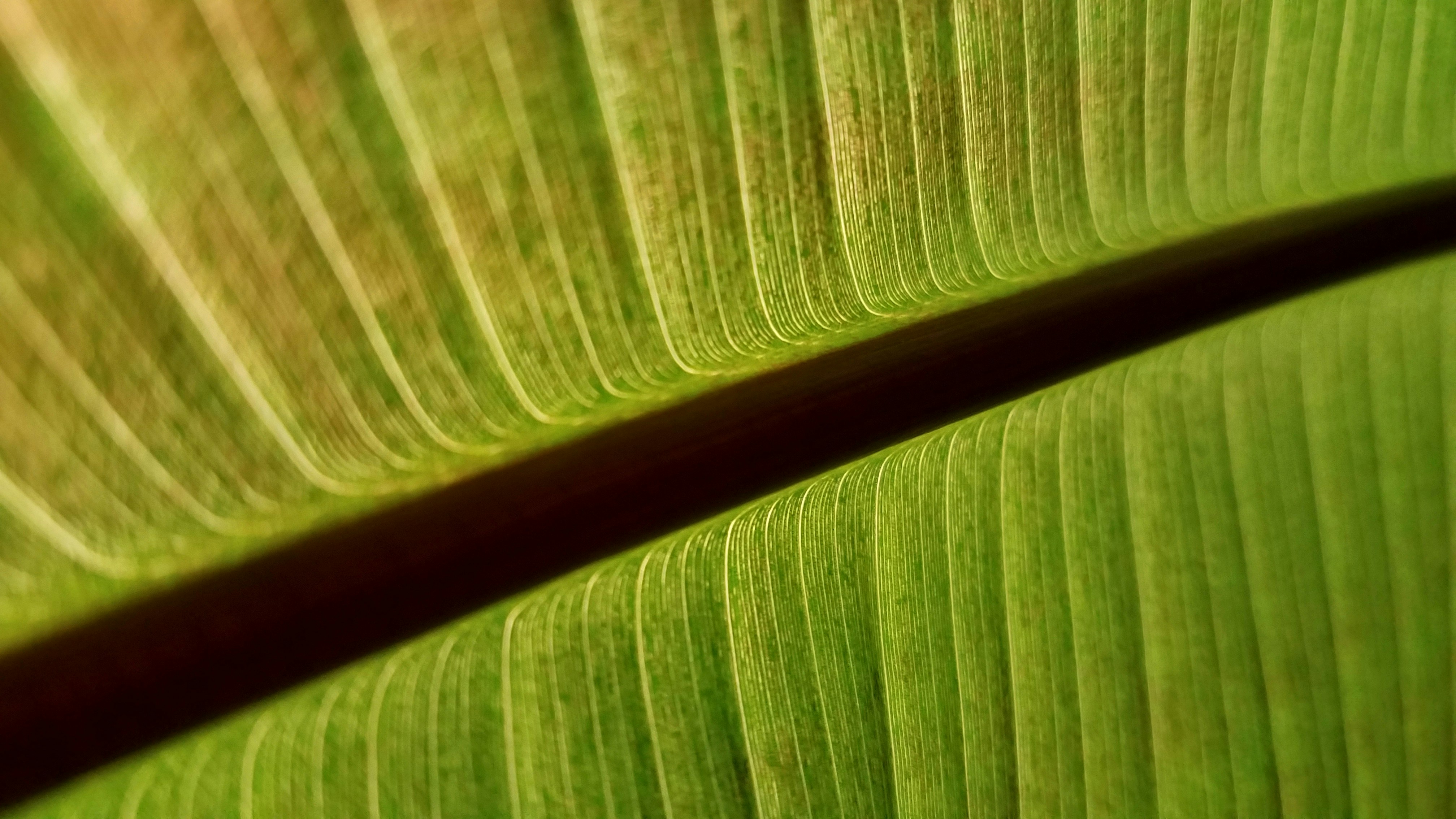 Photo by hecticaesthetic