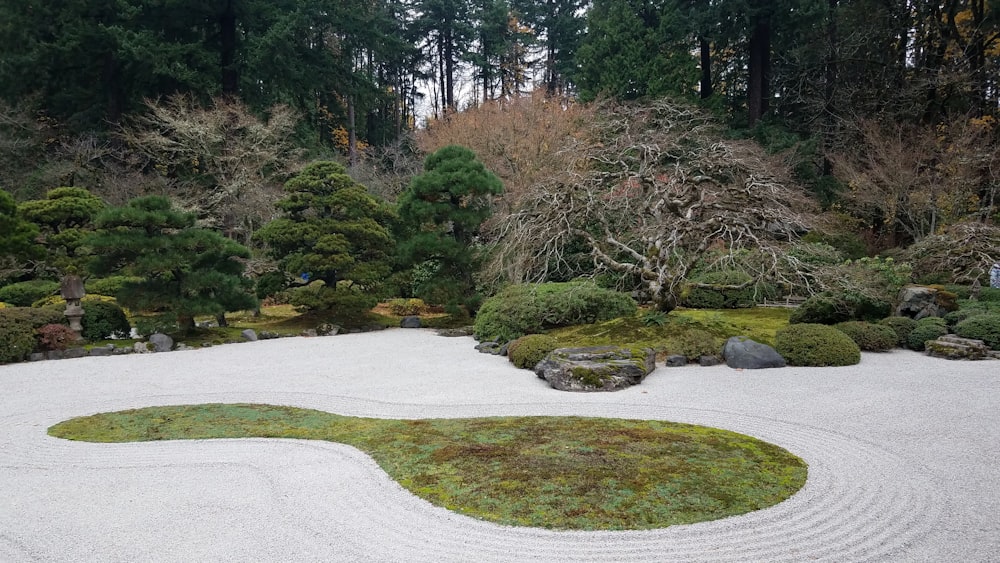 a garden with rocks and plants in it