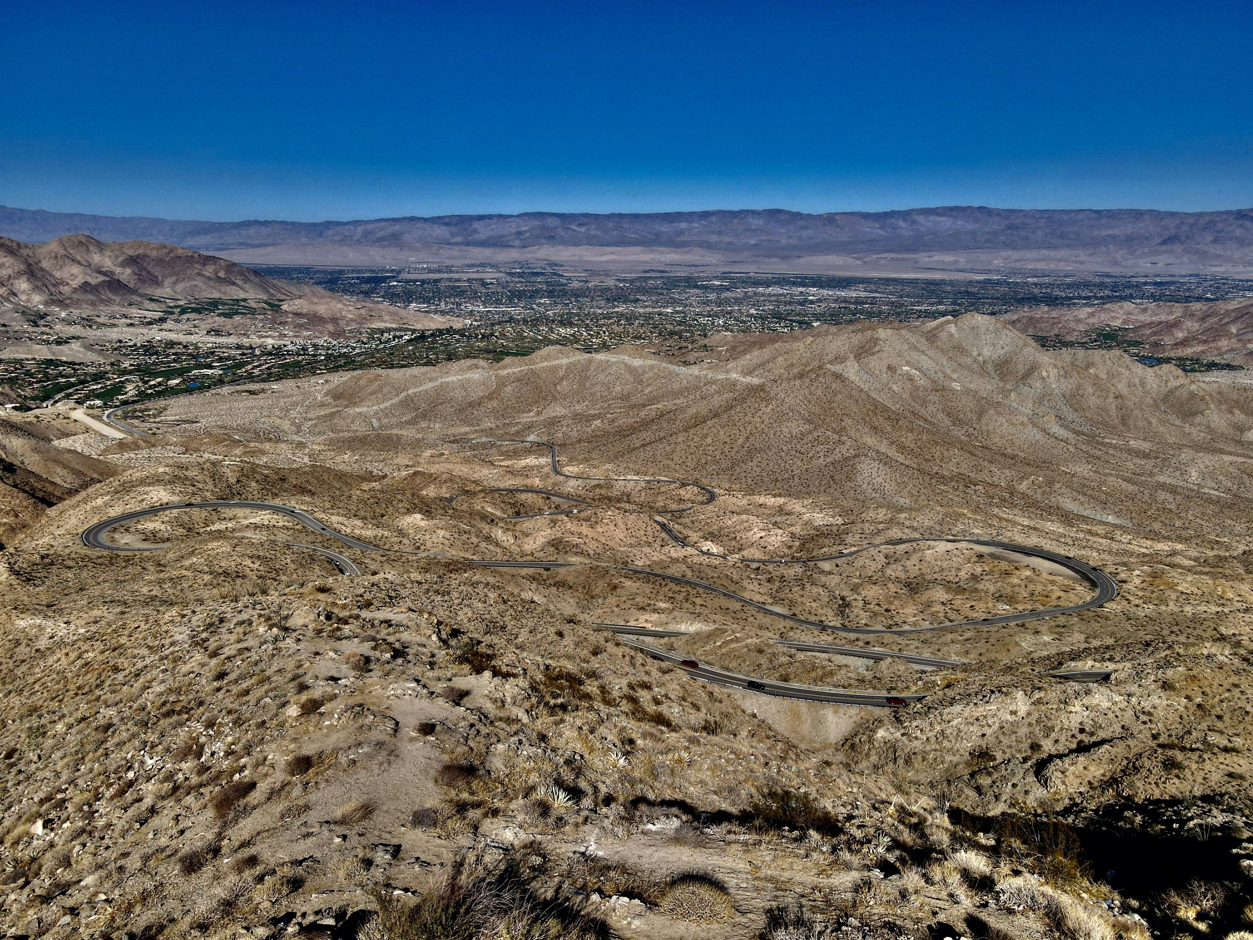 Photo by palmspringsdon