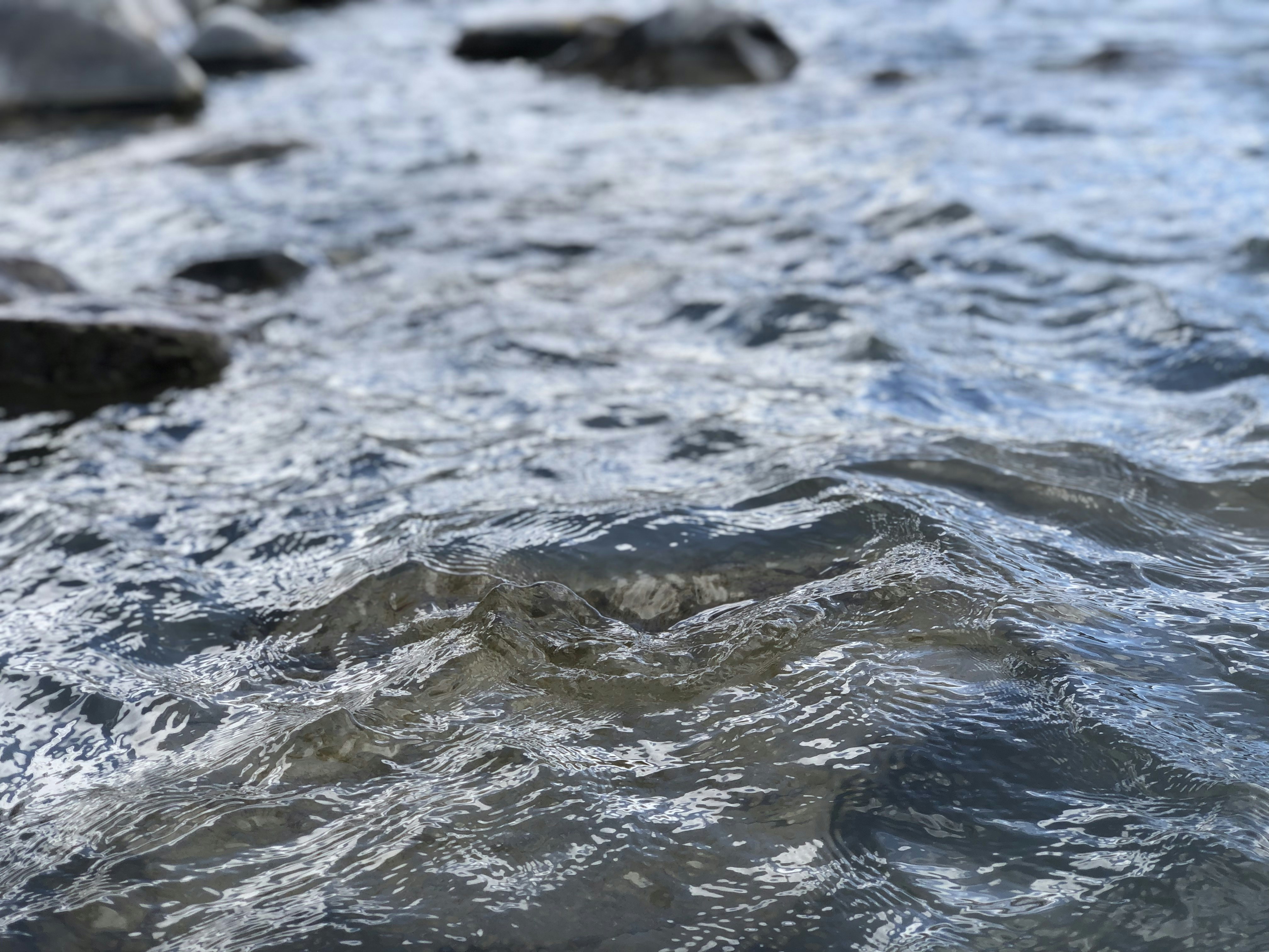 Photo by priyansharma