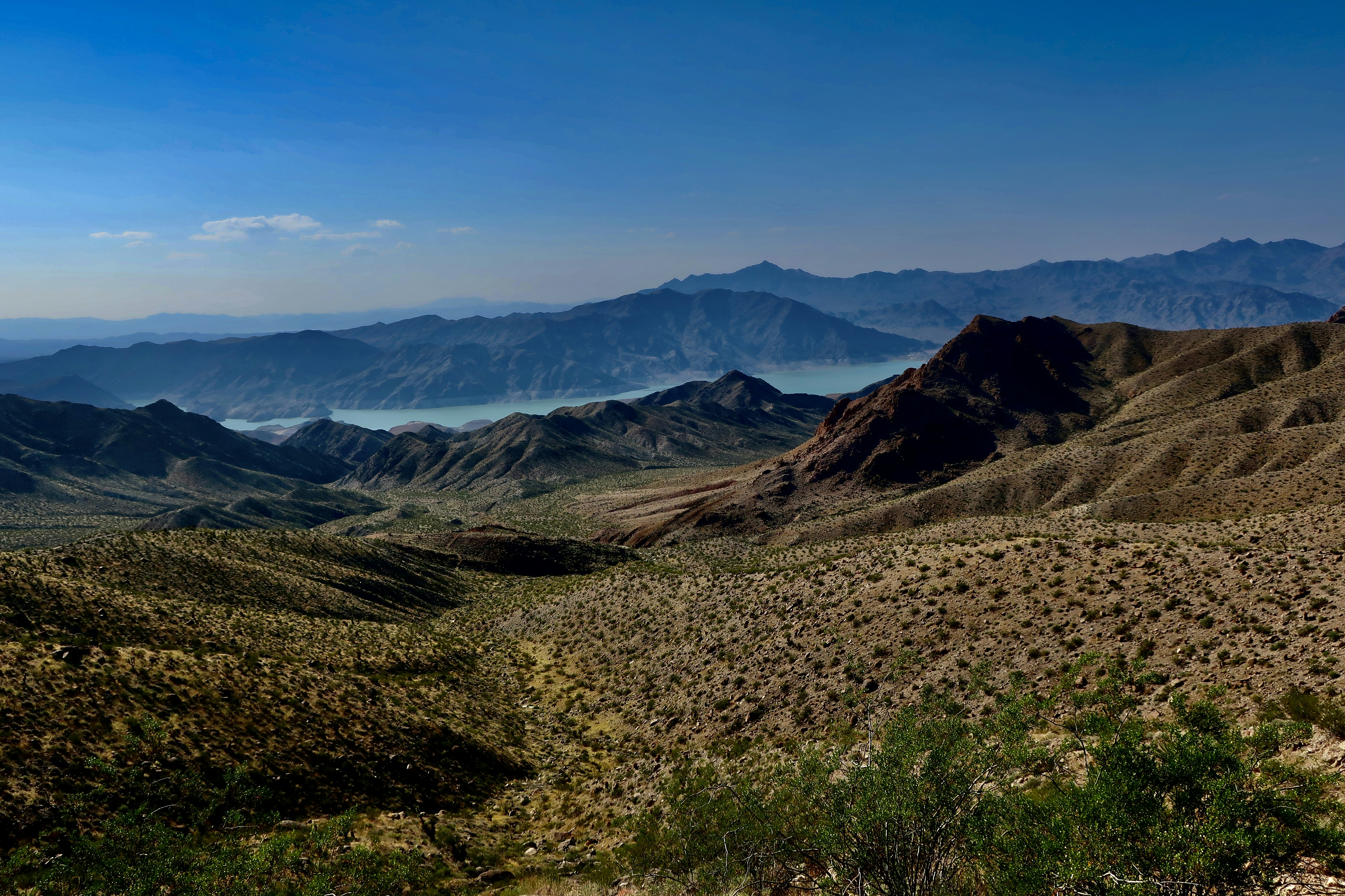 Photo by palmspringsdon