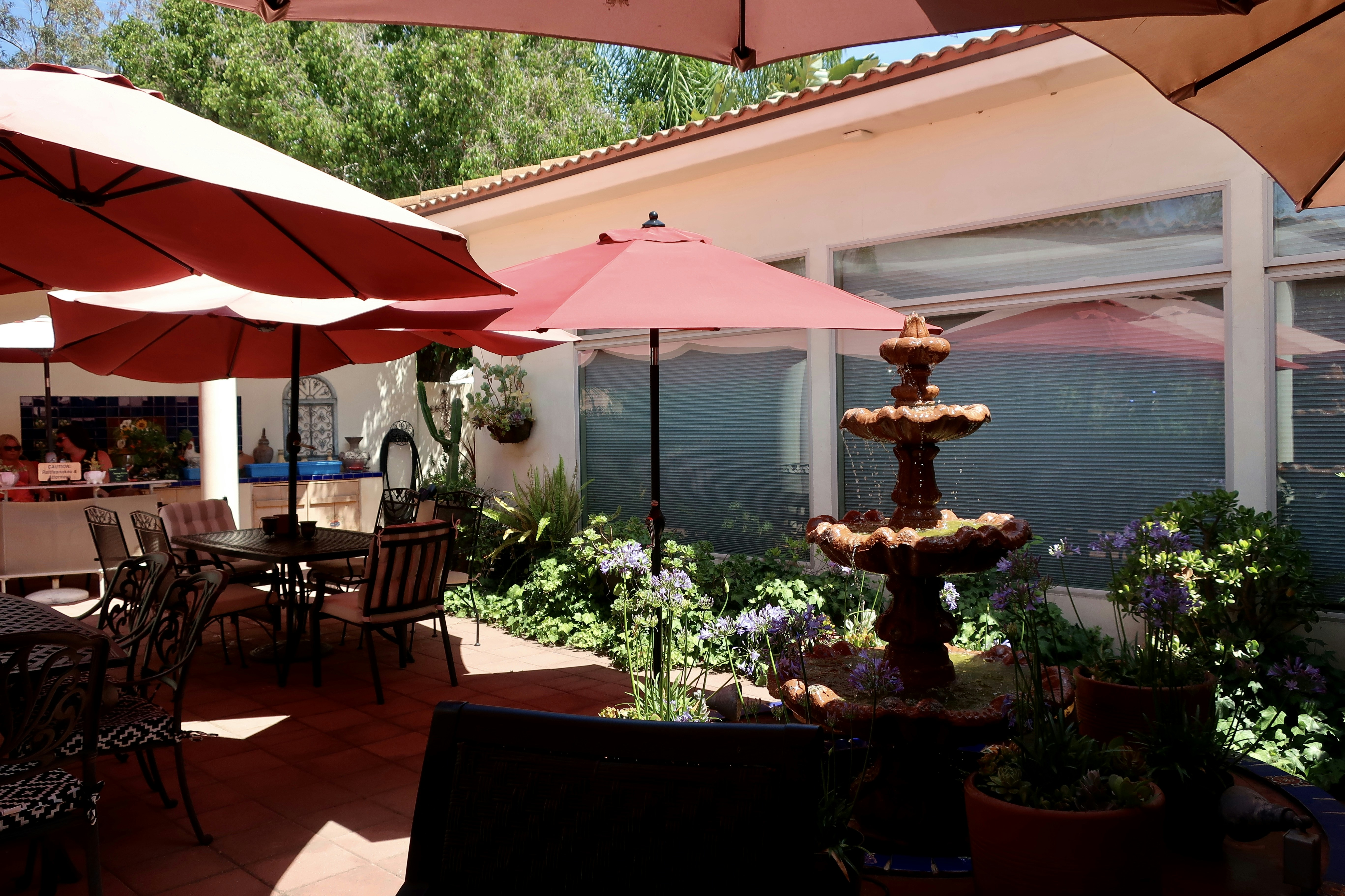 Photo by palmspringsdon