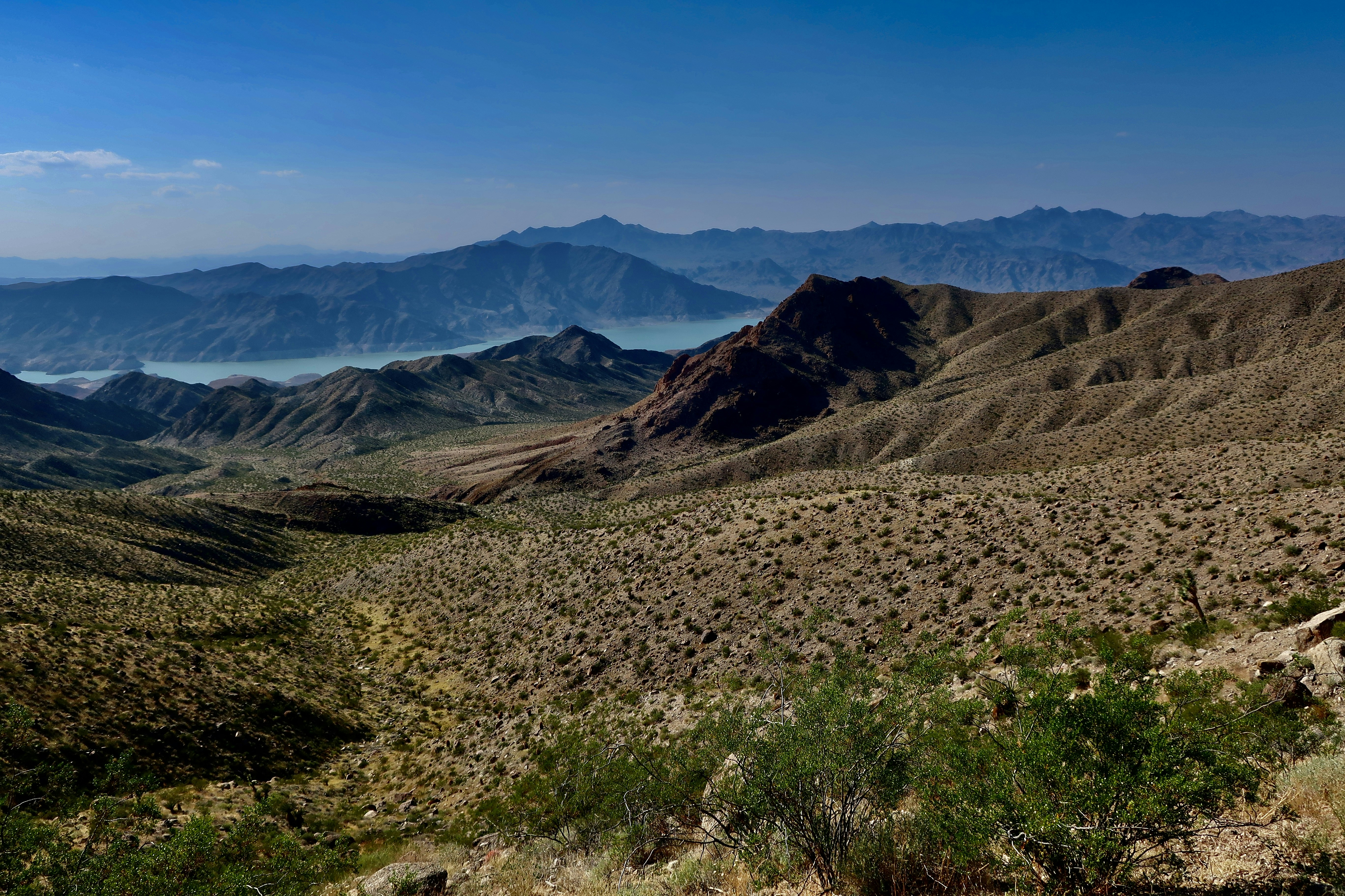 Photo by palmspringsdon