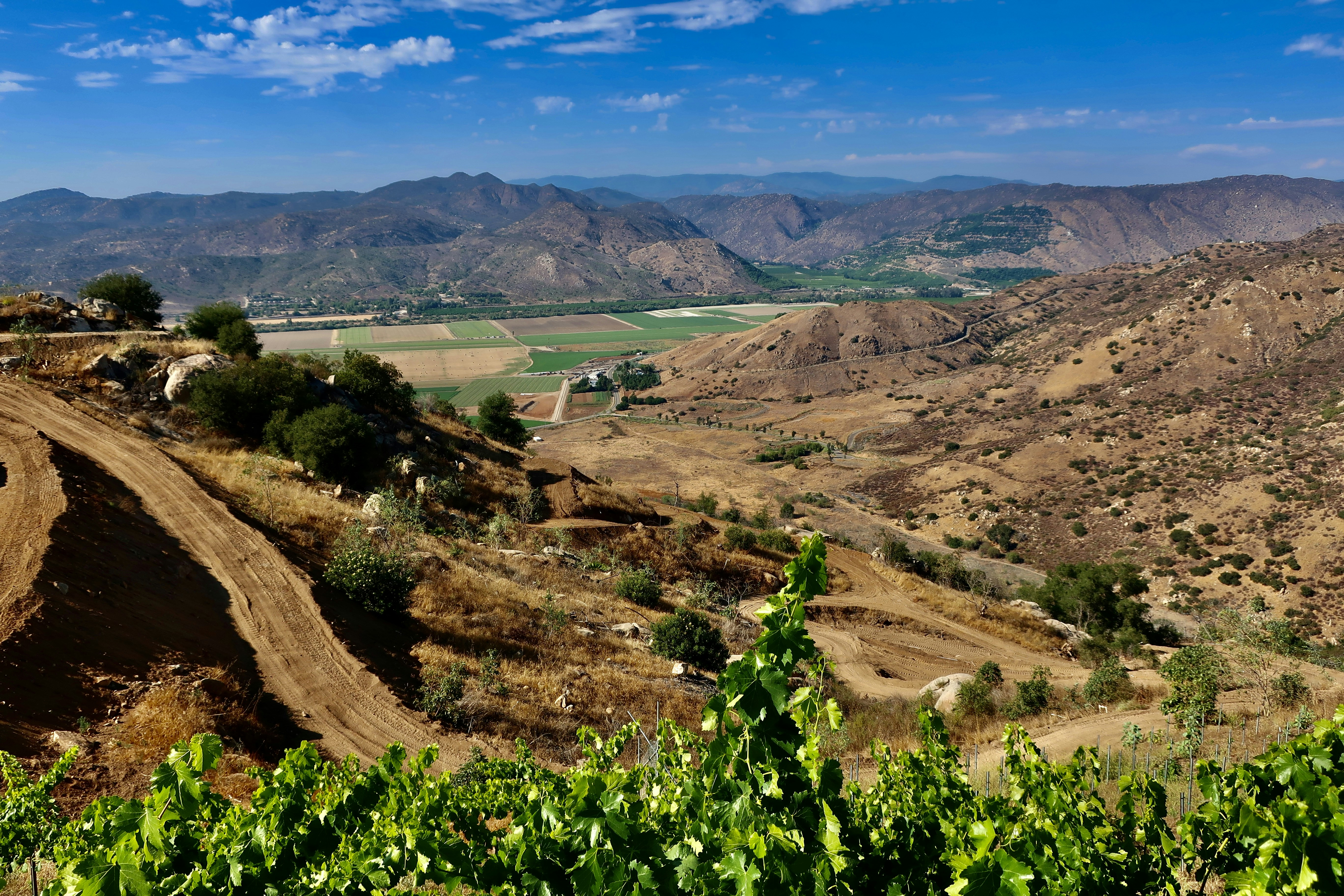 Salamone'S Cherry Valley Menu With Prices