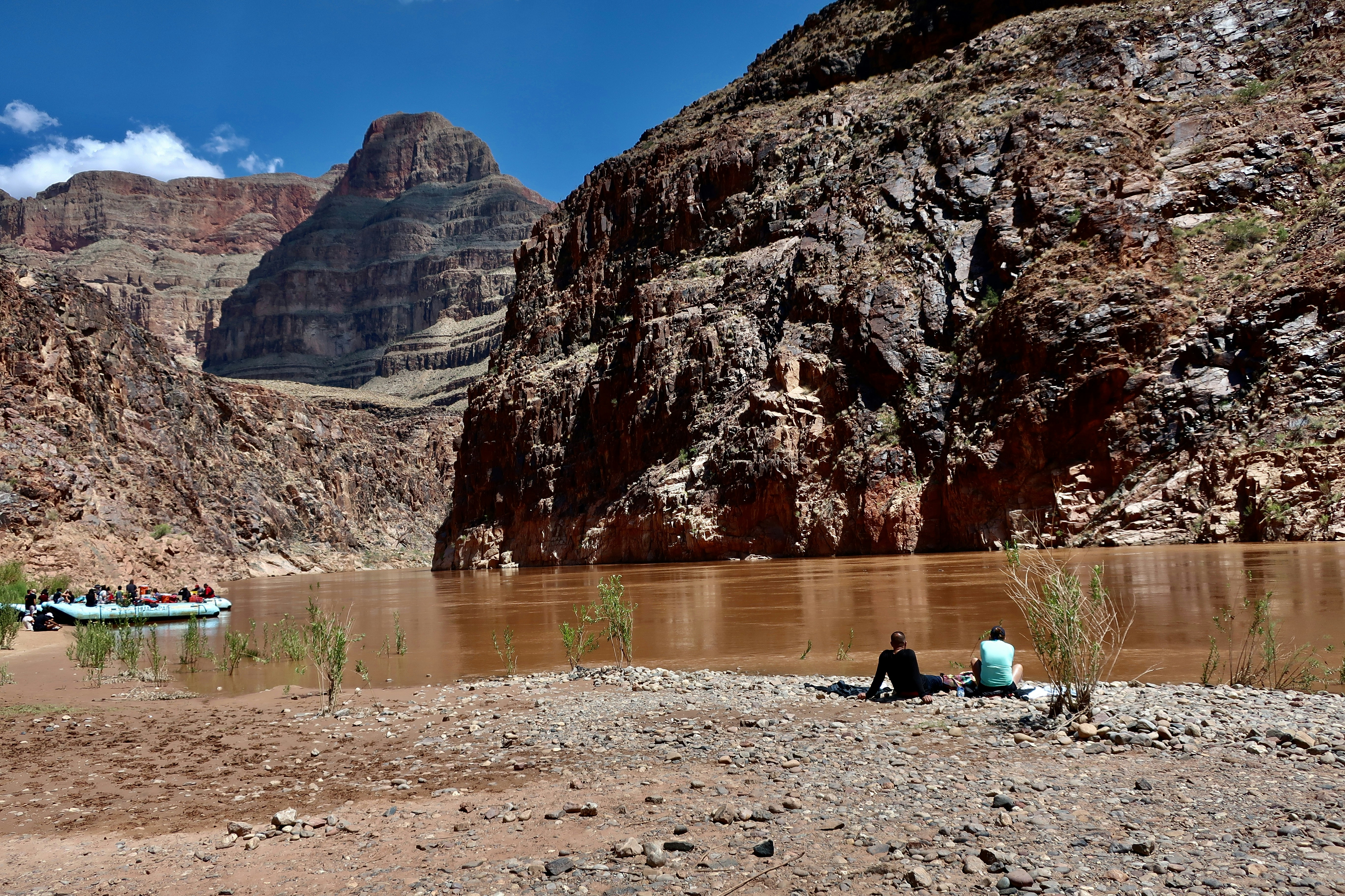 Photo by palmspringsdon