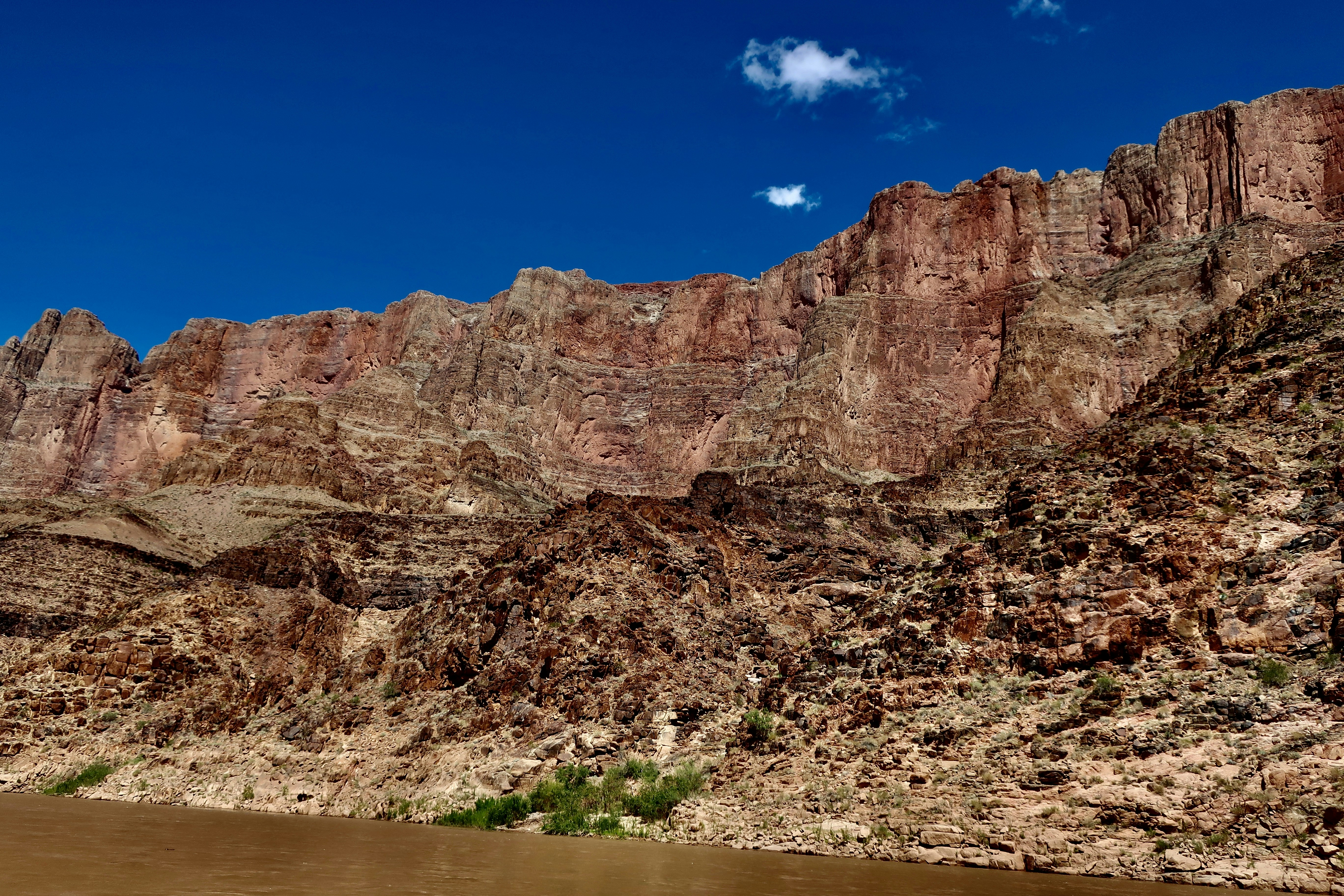 Photo by palmspringsdon