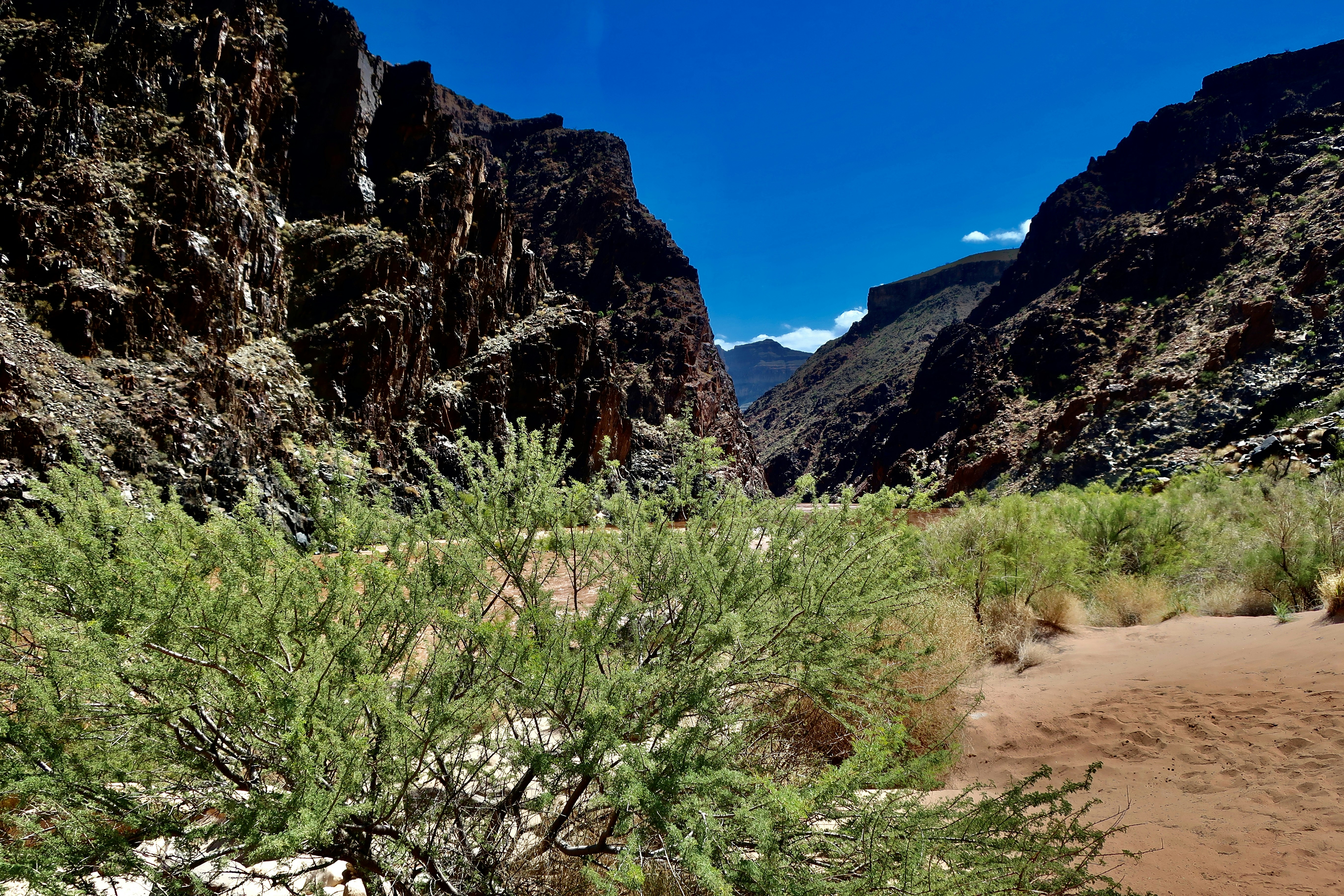 Photo by palmspringsdon