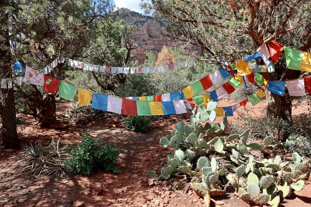 a bunch of colorful flags hanging from a tree