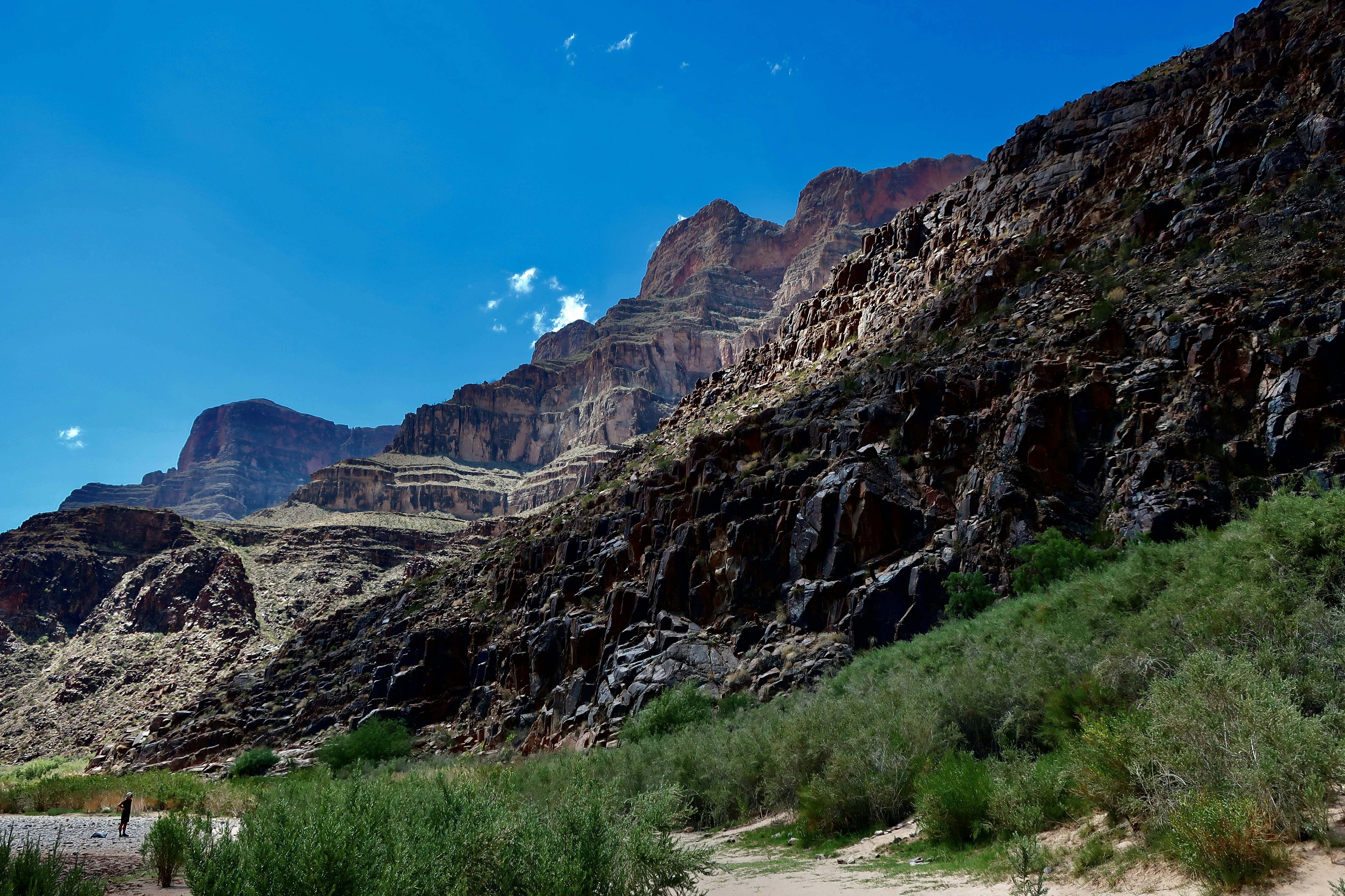 Photo by palmspringsdon