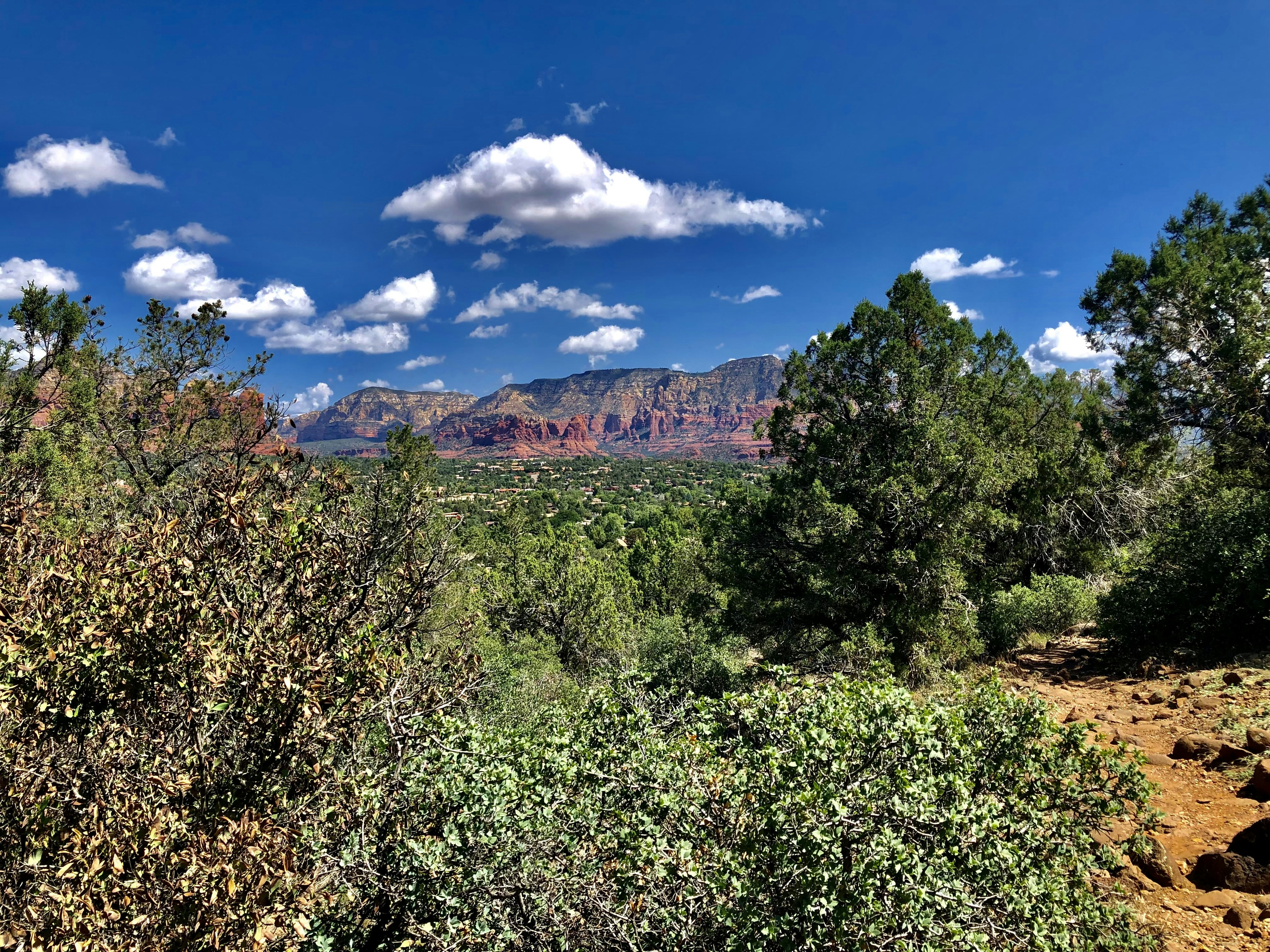 Photo by palmspringsdon