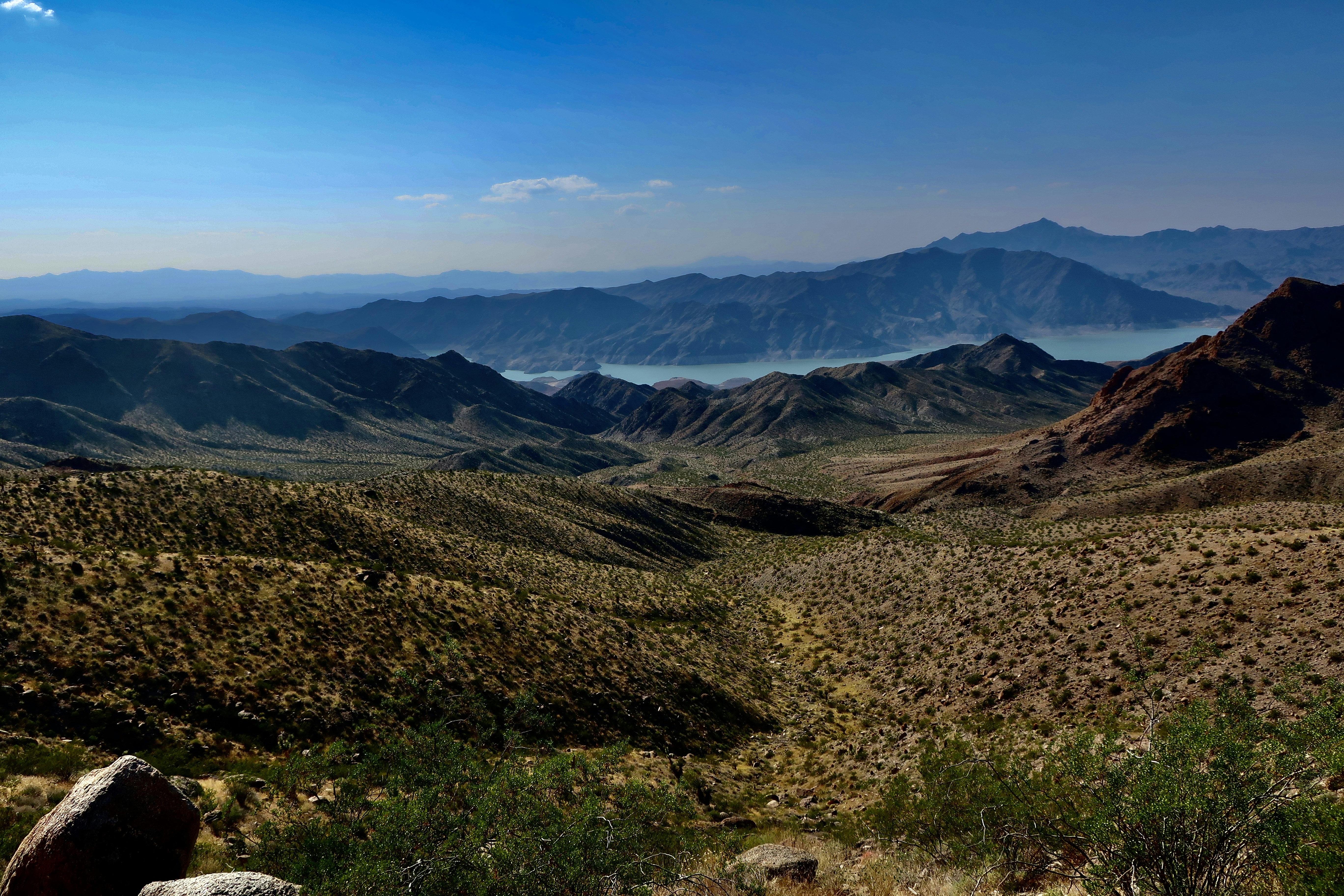 Photo by palmspringsdon