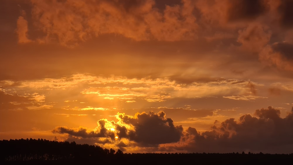 Die Sonne geht am Himmel über den Bäumen unter