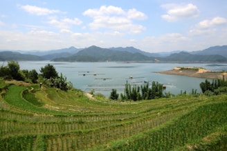 A scenic rice terrace landscape under a bright sky.