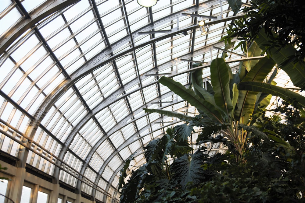 the inside of a building with a lot of plants