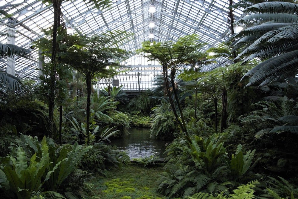 the inside of a large greenhouse with lots of trees and plants