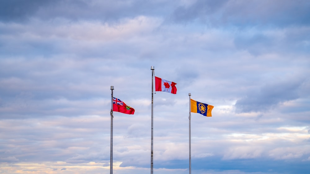 a group of flags flying in the wind