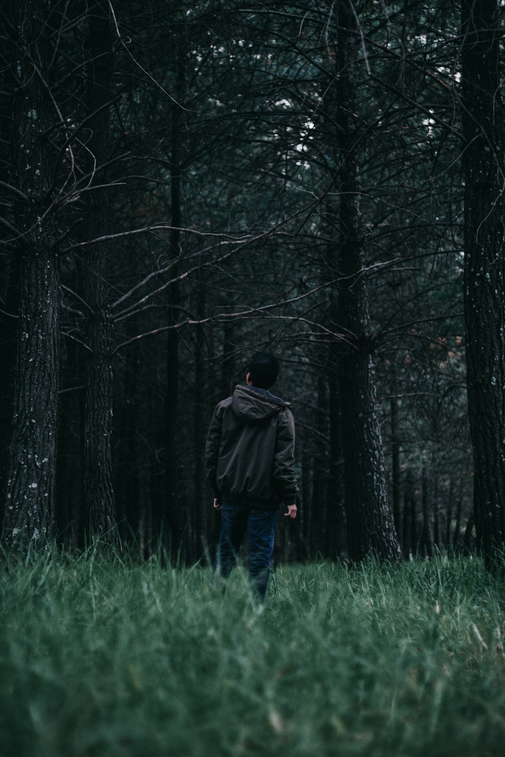 a person walking through a forest with tall grass