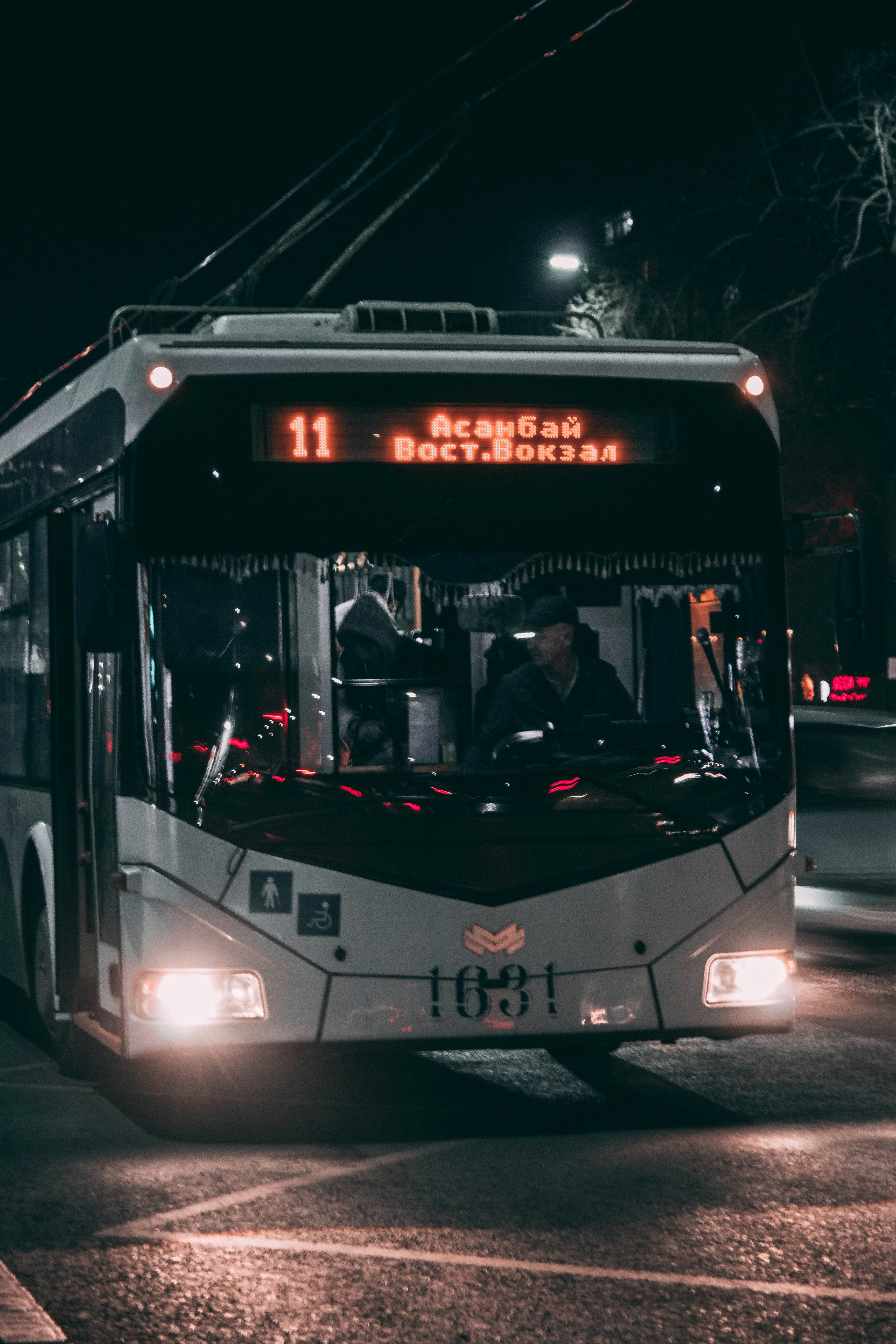 Photo by alienrhapsody