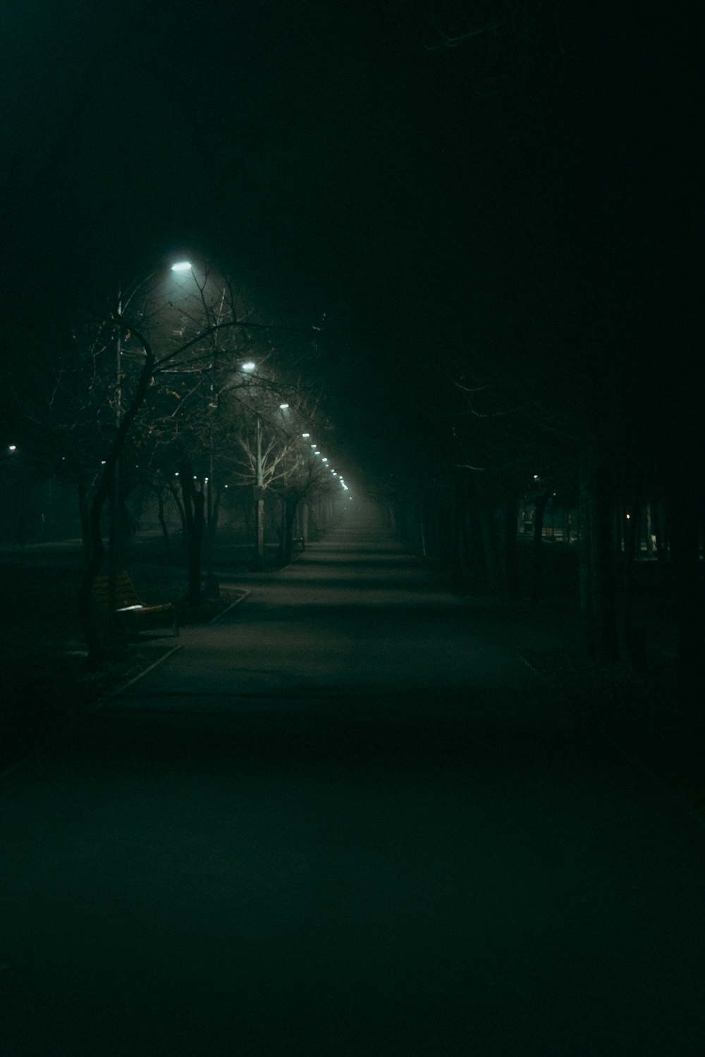 Una strada buia di notte con lampioni