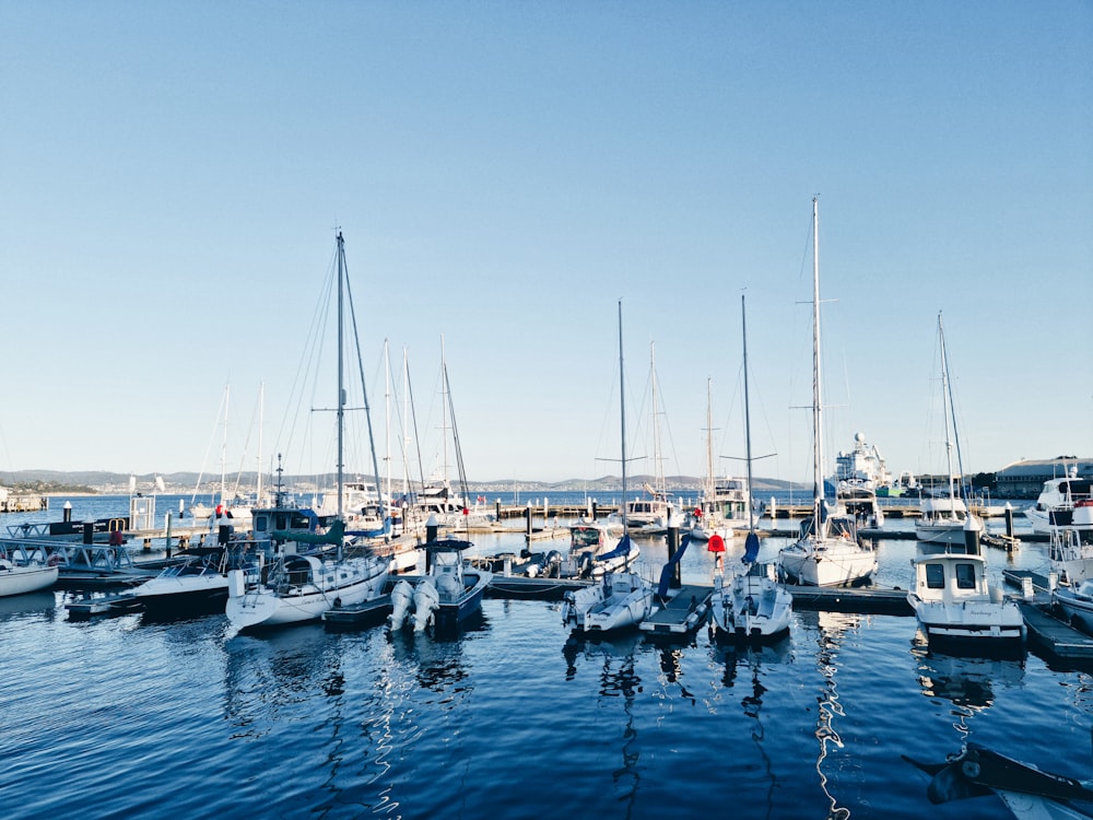 Un puerto lleno de muchos barcos en un día soleado