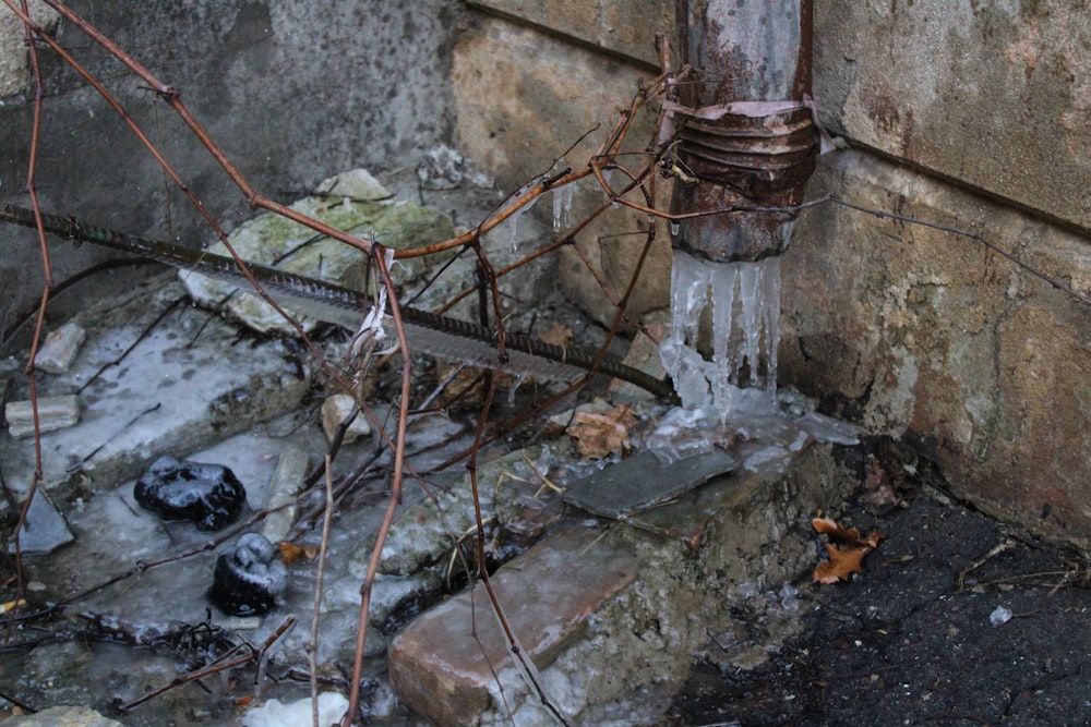 un idrante antincendio accanto a un muro con ghiaccio su di esso