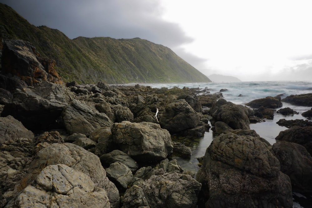 a rocky beach with a mountain in the background