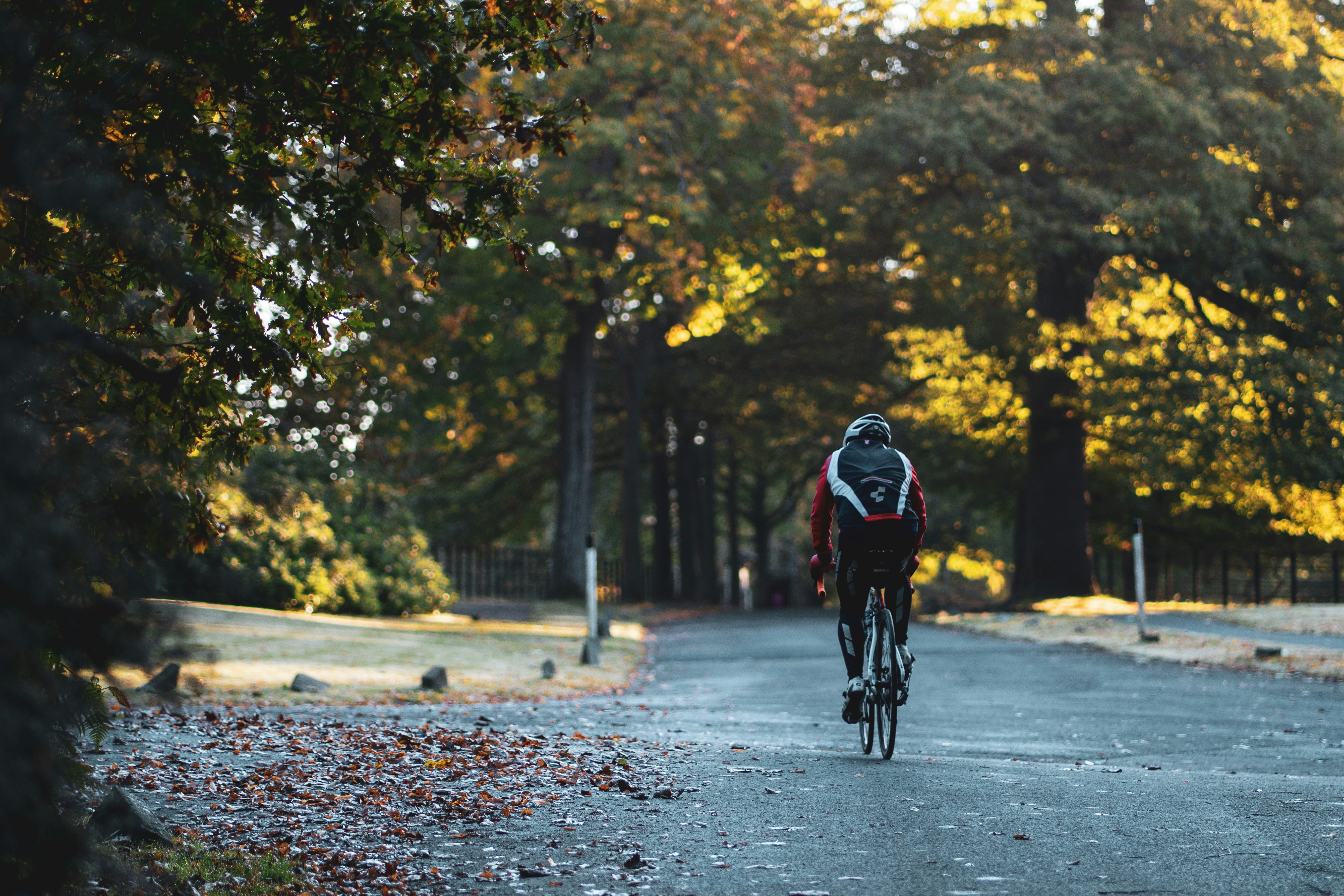 a man riding a bike down a road surrounded by trees