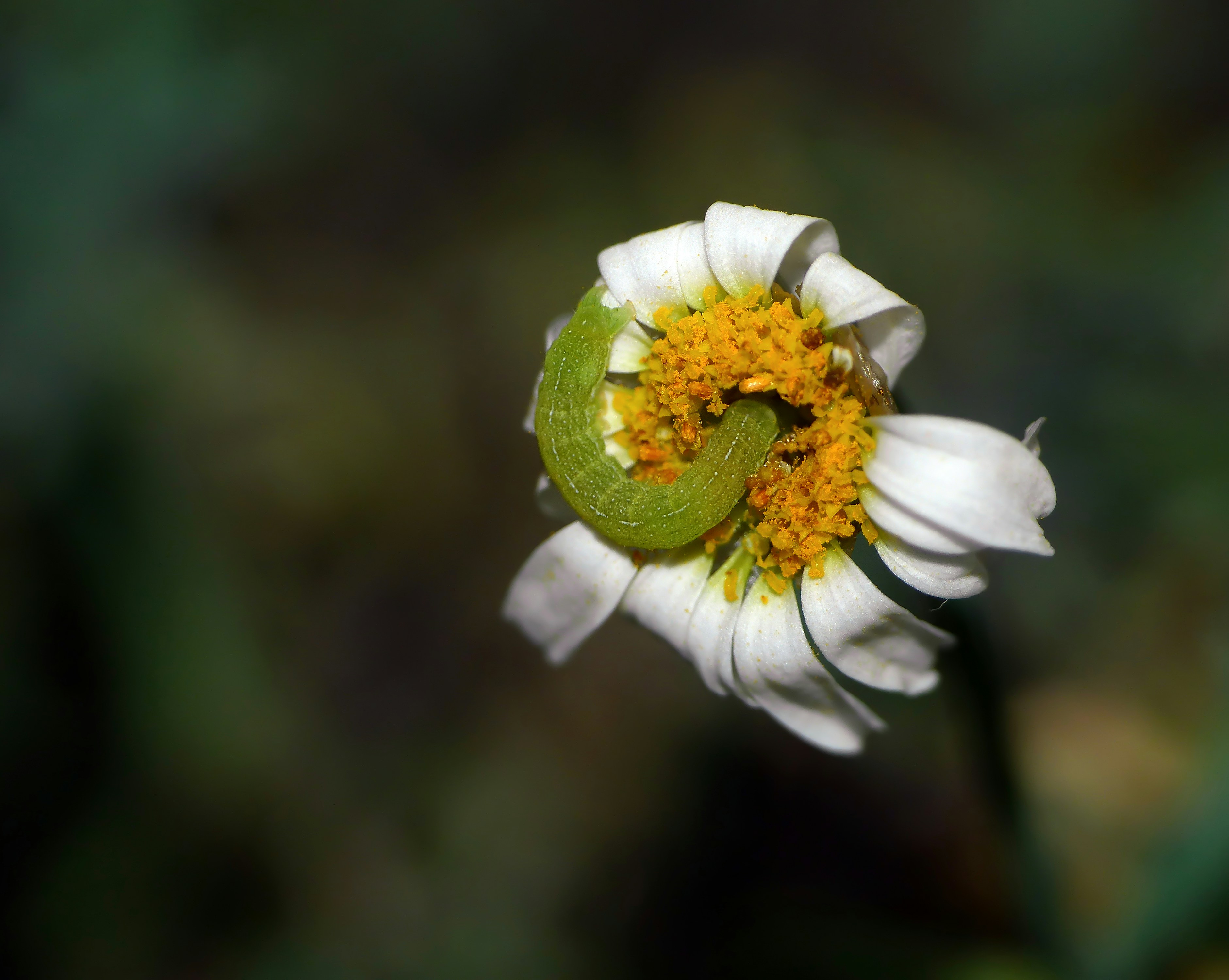 Photo by j_blueberry