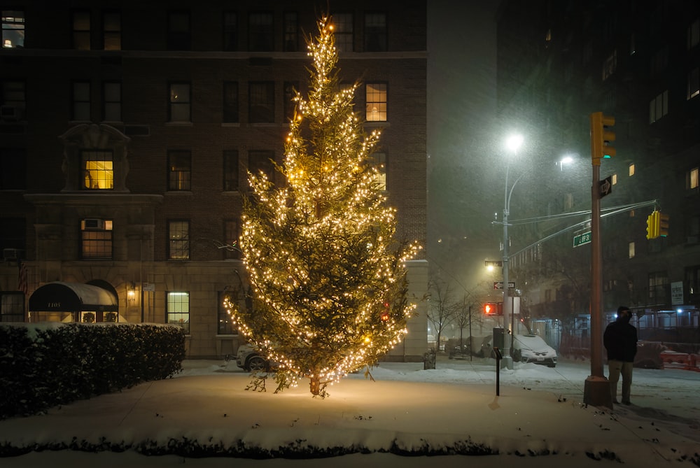 a large christmas tree is lit up in the snow