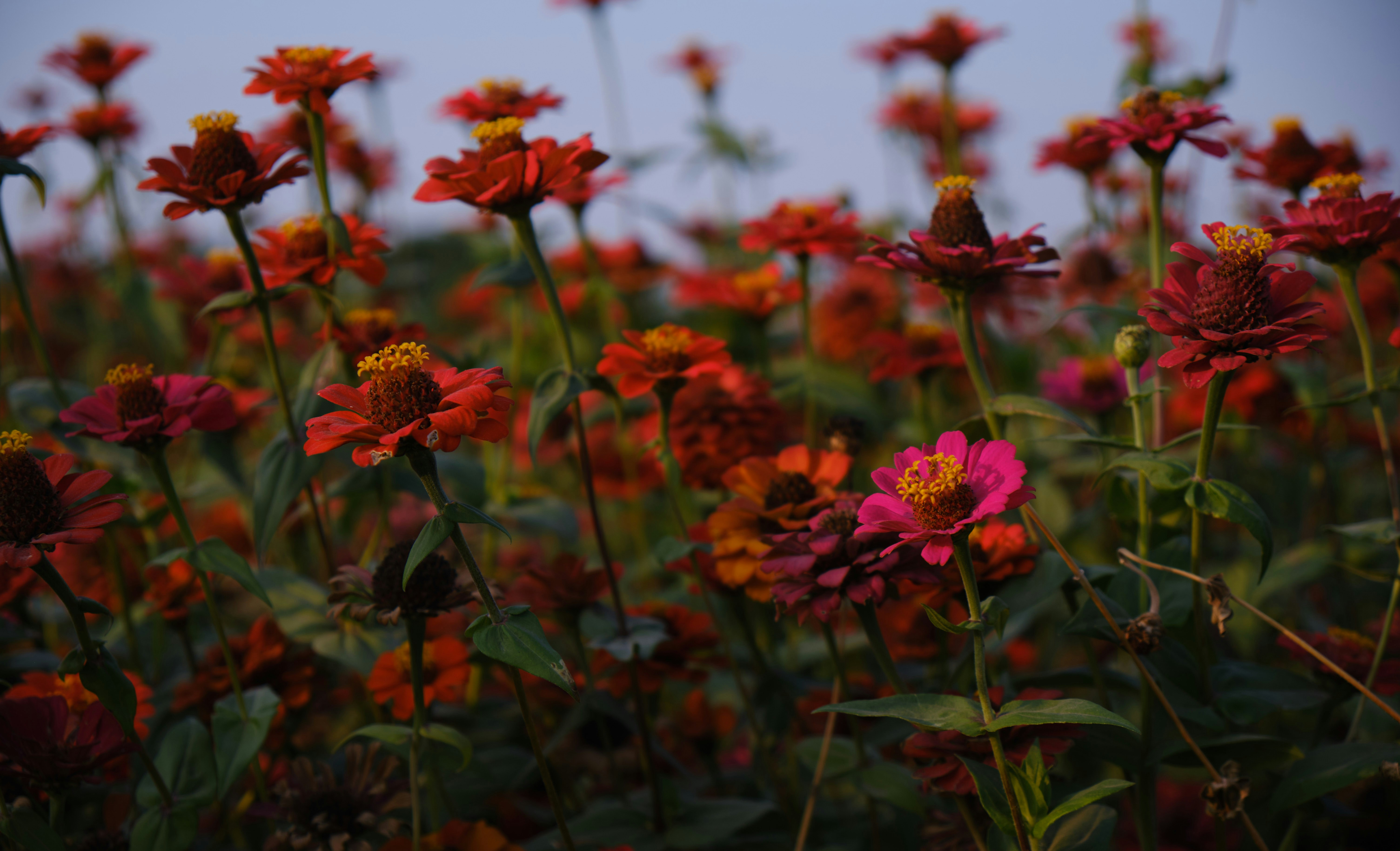 Photo by manhterry93