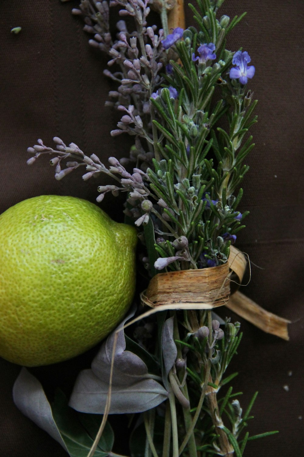 a close up of a plant and an orange