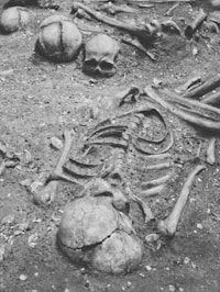 a black and white photo of a skeleton laying on the ground