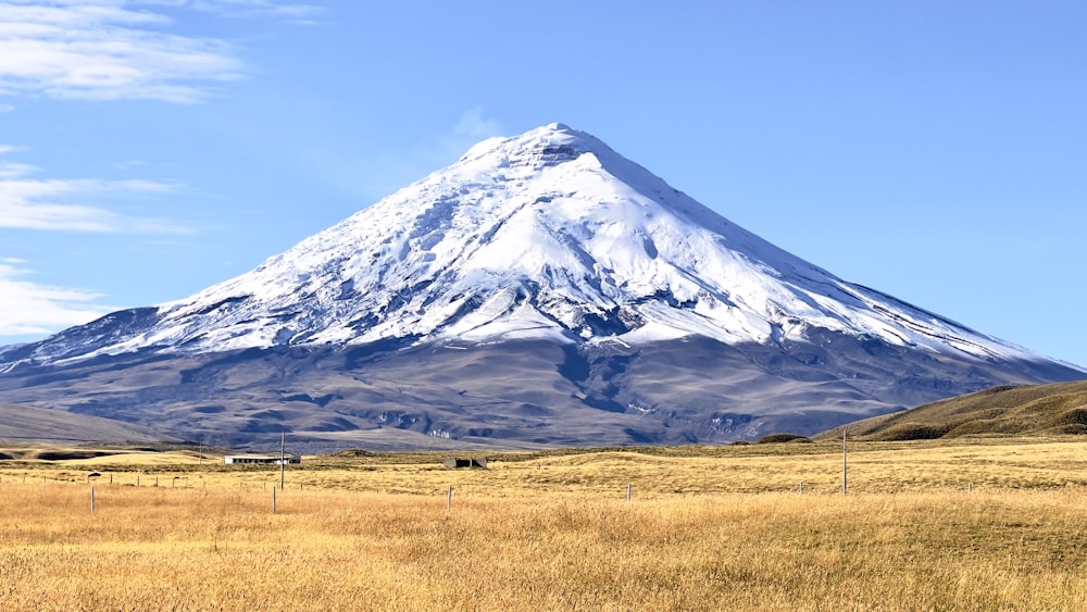 a large snow covered mountain towering over a dry grass field