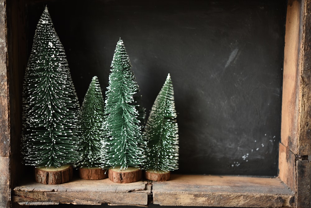 a group of small trees sitting on top of a wooden shelf