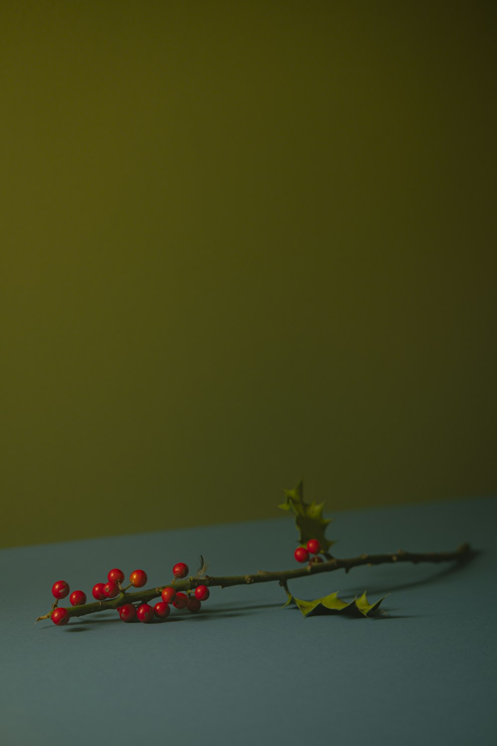a branch with red berries on it sitting on a table