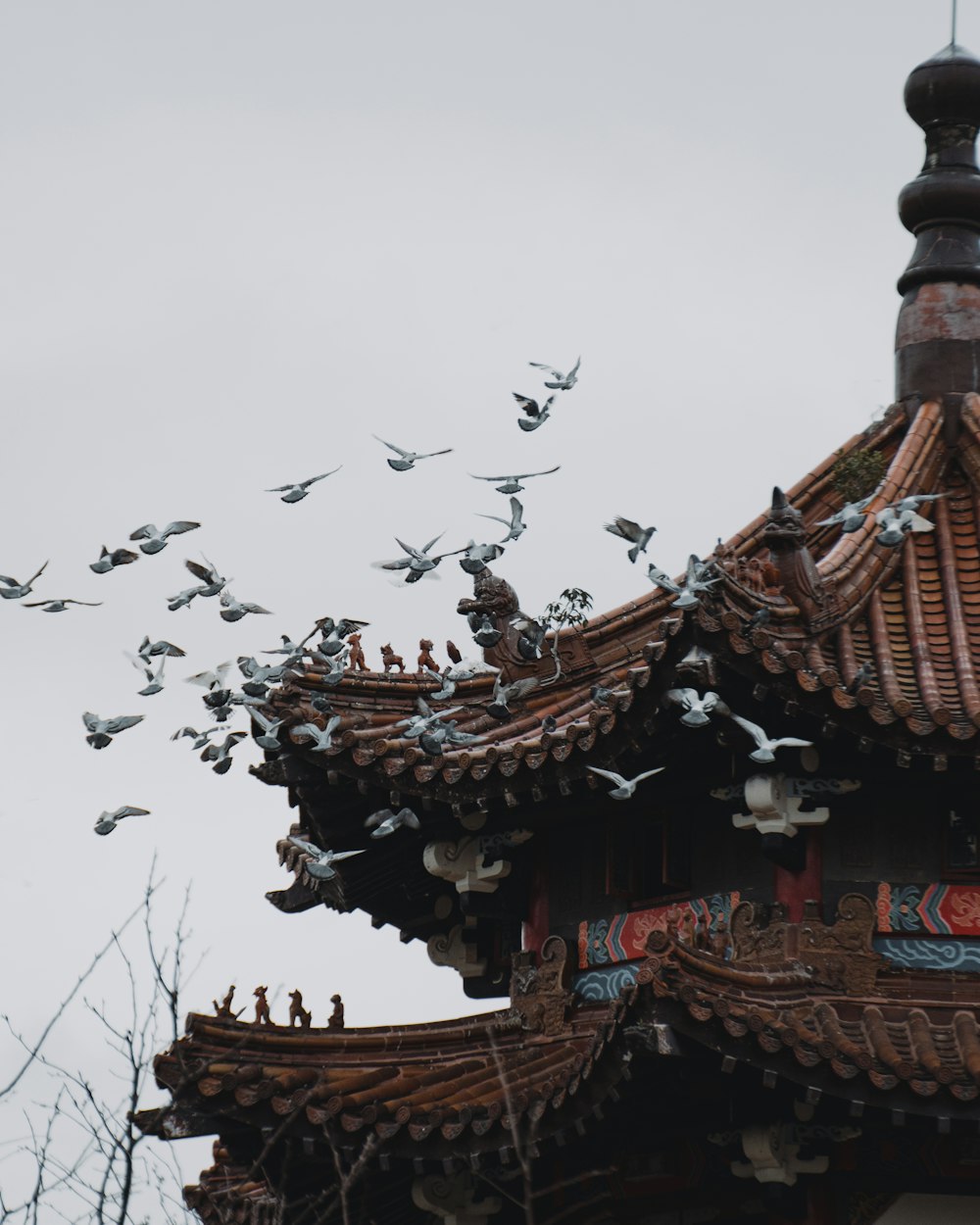 a flock of birds flying over a building