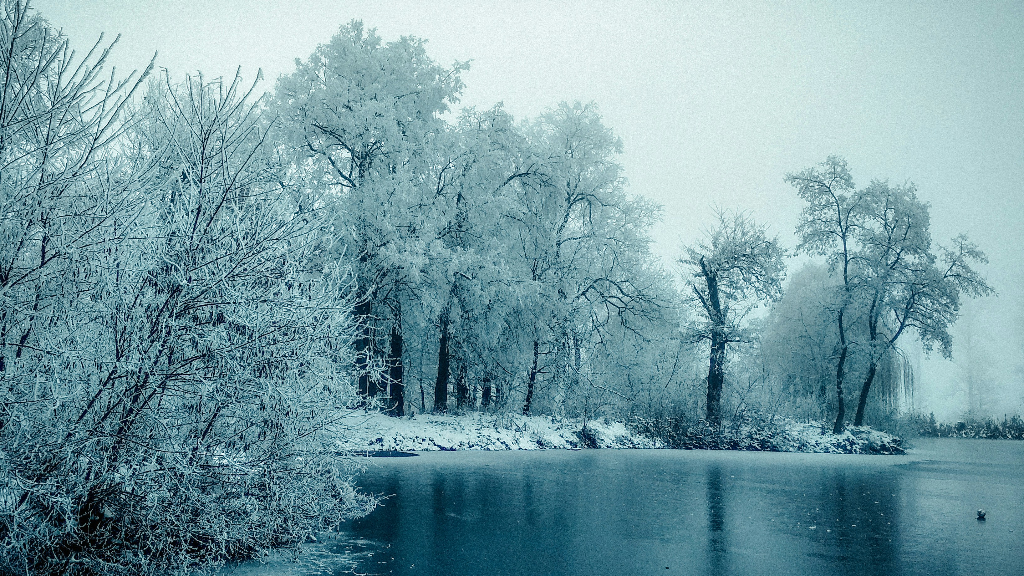 Photo by vivcharyk_ph