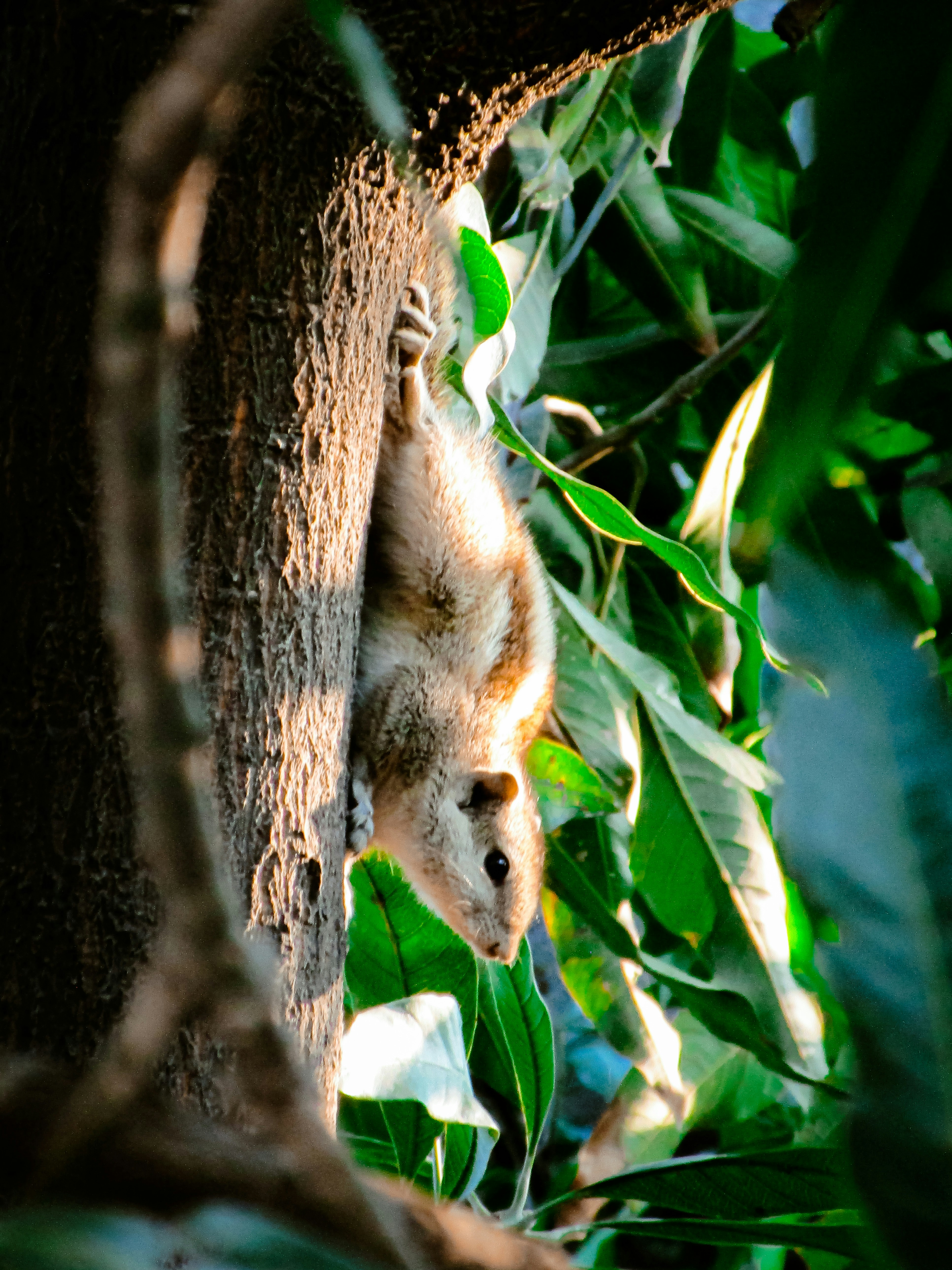 Photo by gagangulyani