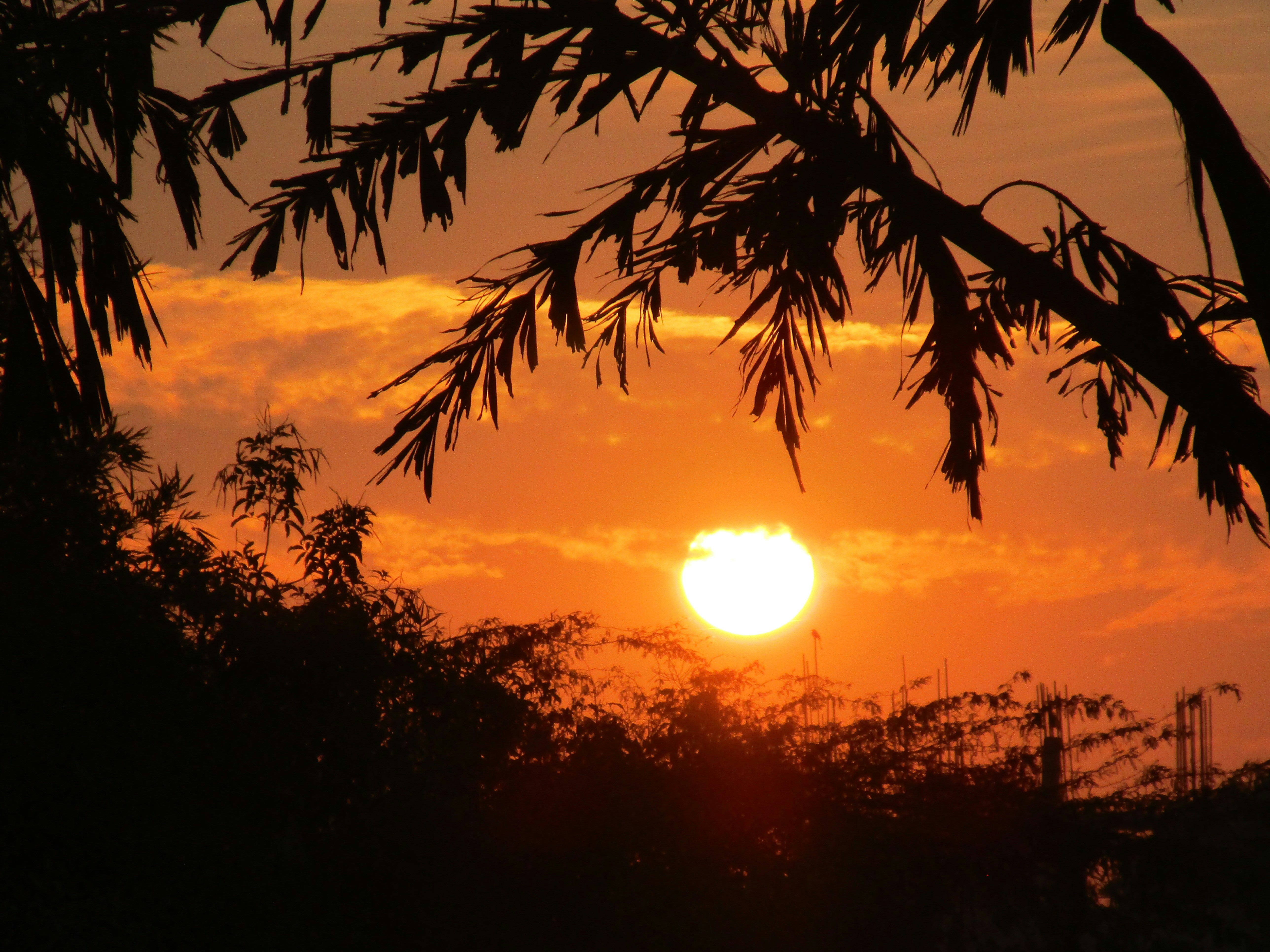 Photo by gagangulyani