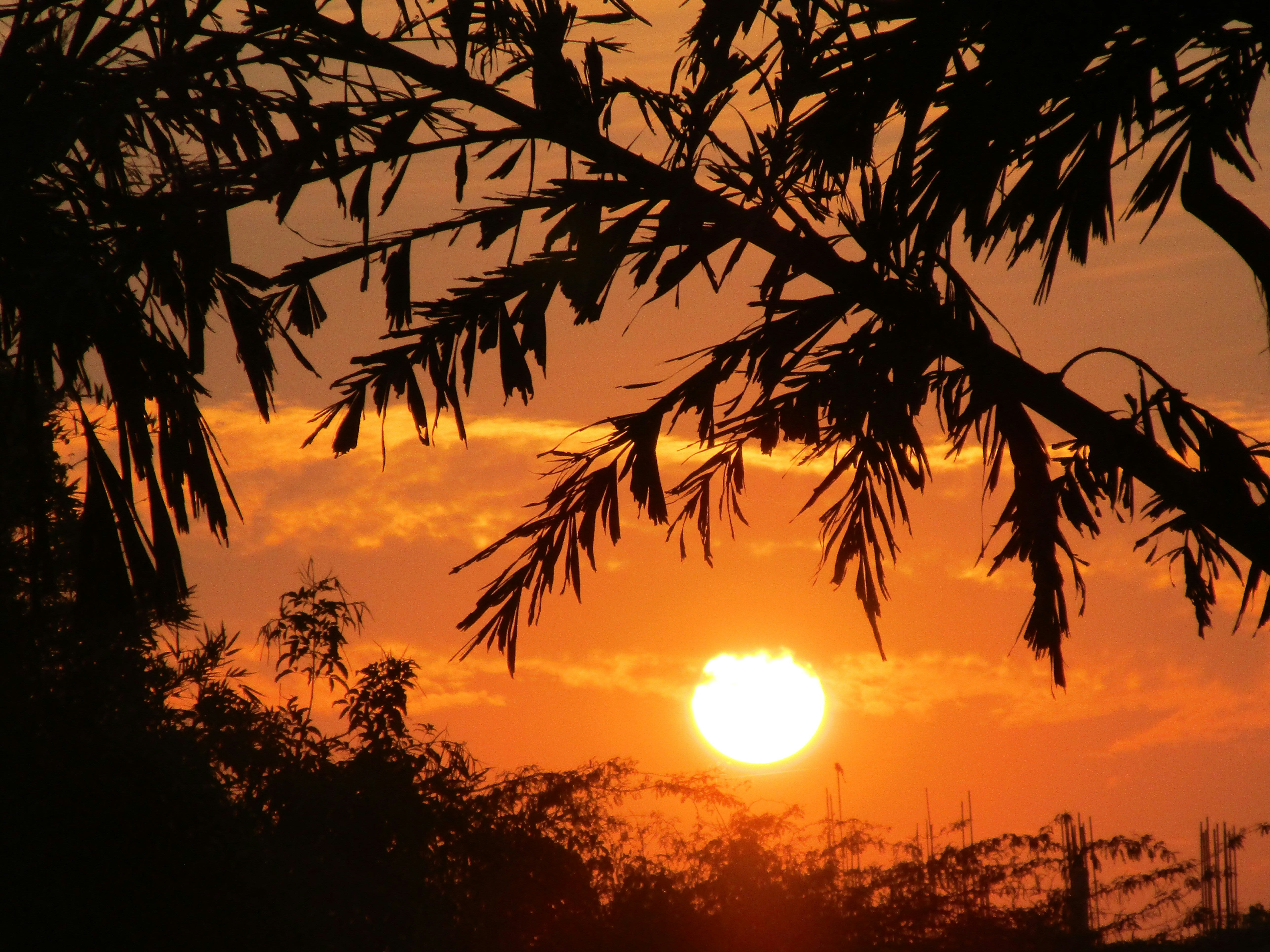 Photo by gagangulyani