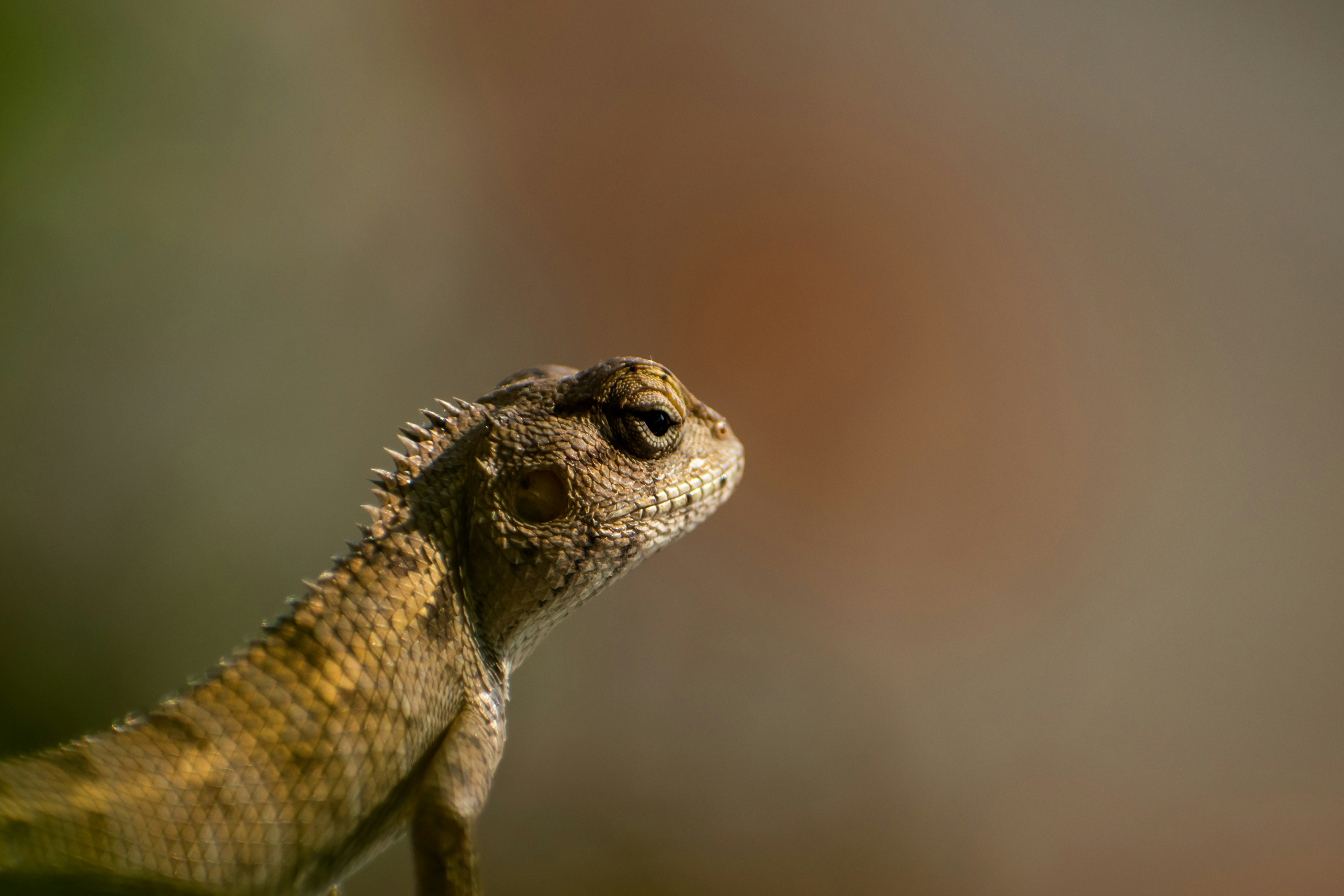 Photo by nikhilsingh291