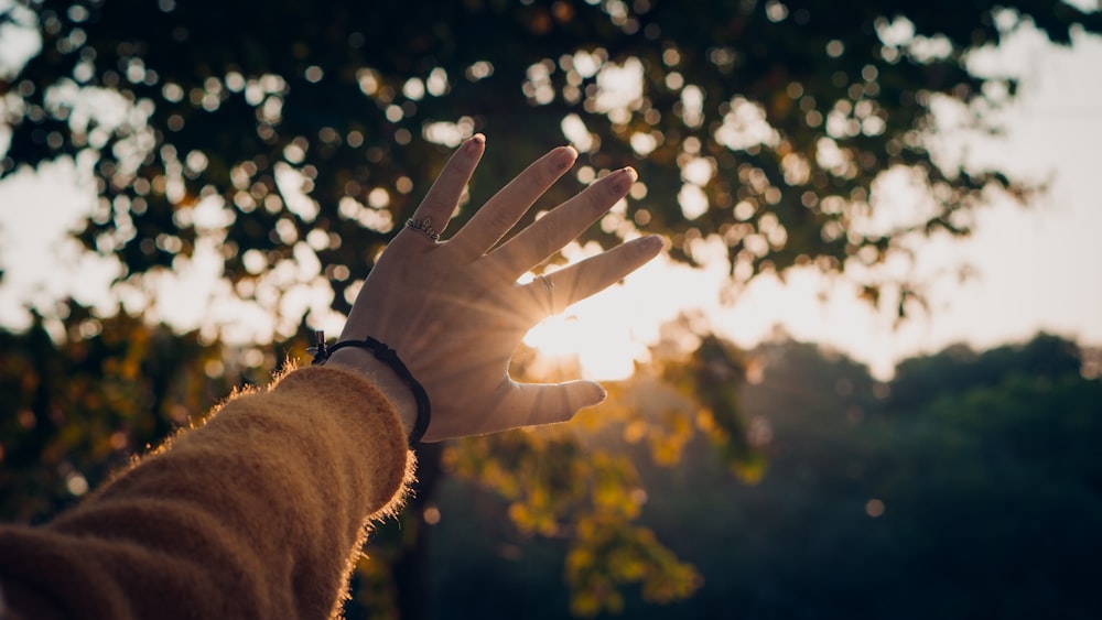a person's hand reaching out towards the sun