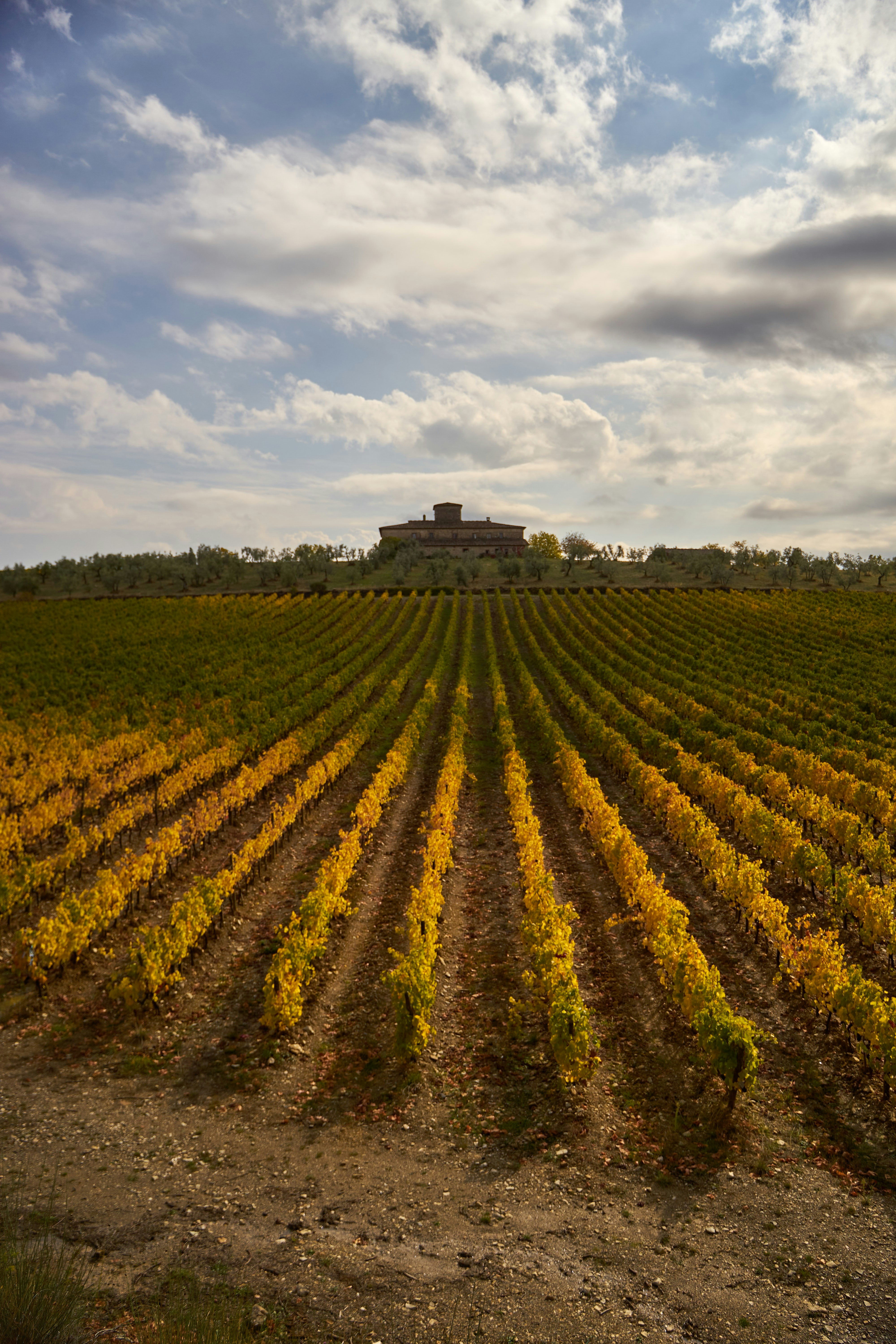 Photo by wolfgang_hasselmann