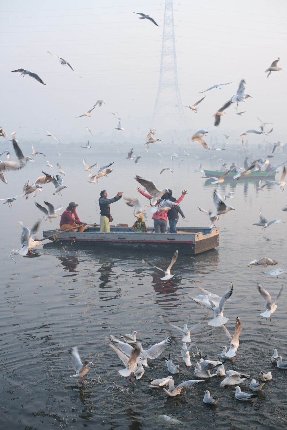 a group of people in a boat surrounded by seagulls