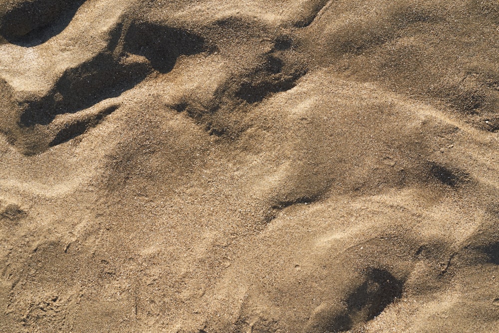 footprints in the sand of a beach