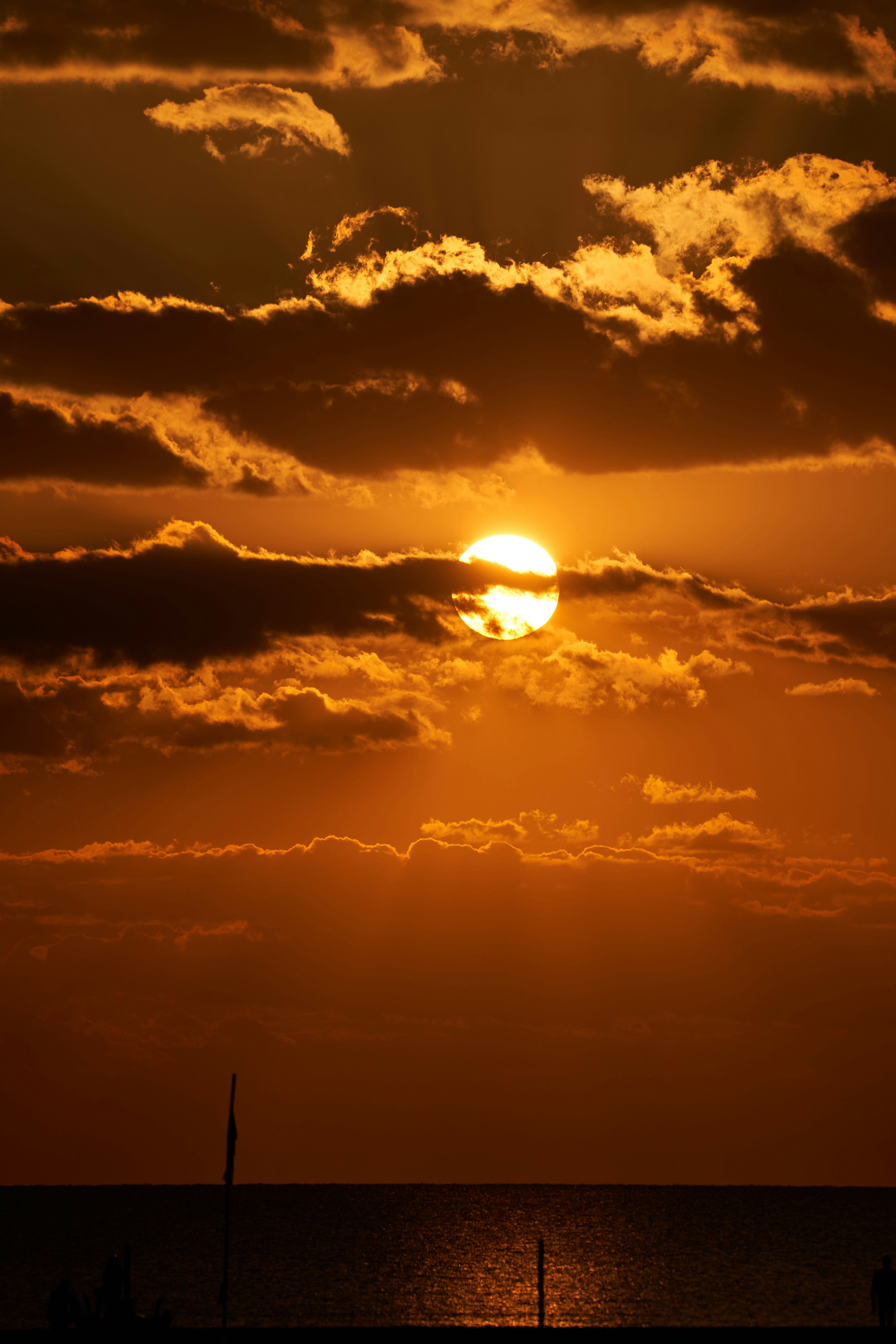 Photo by wolfgang_hasselmann