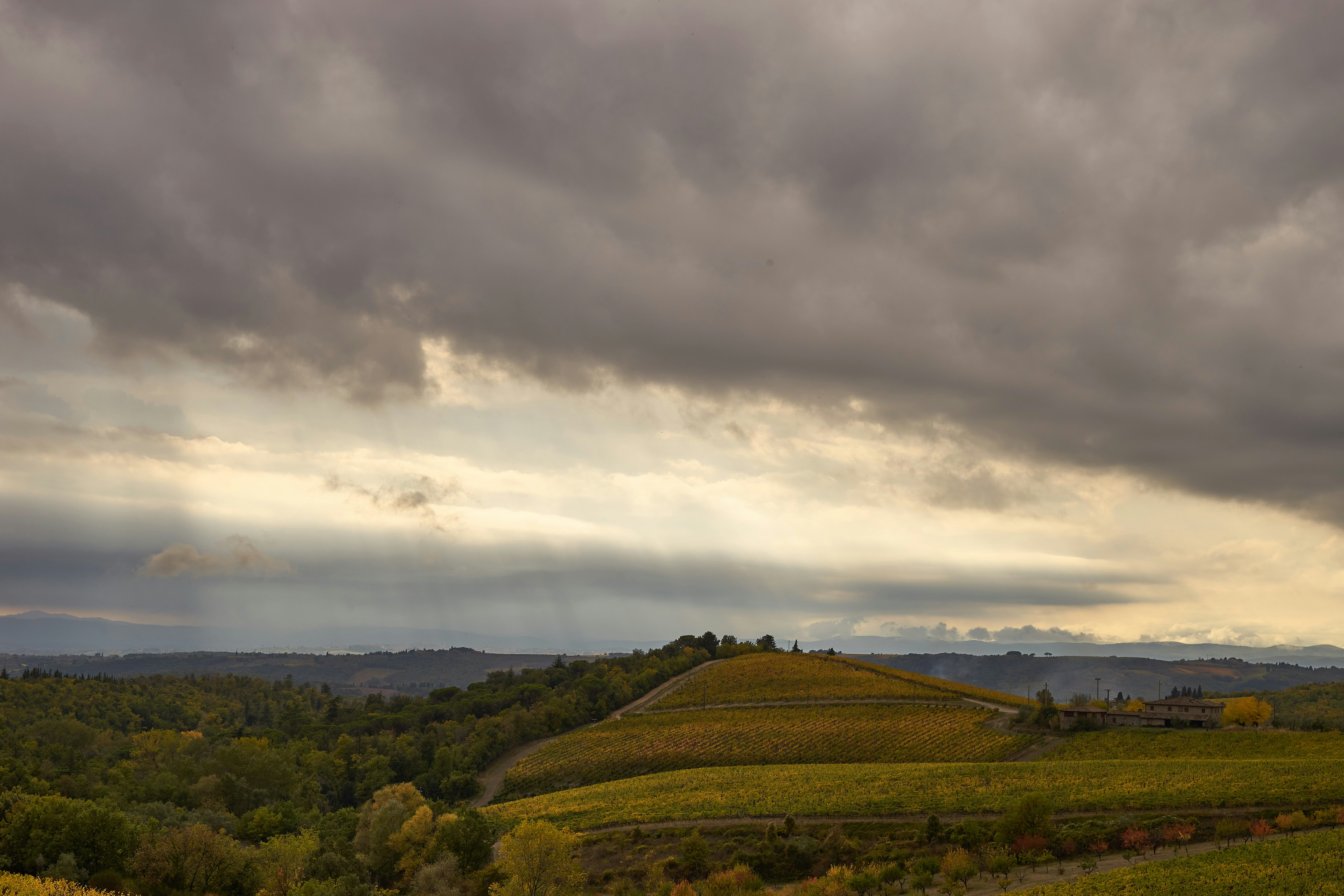 Photo by wolfgang_hasselmann