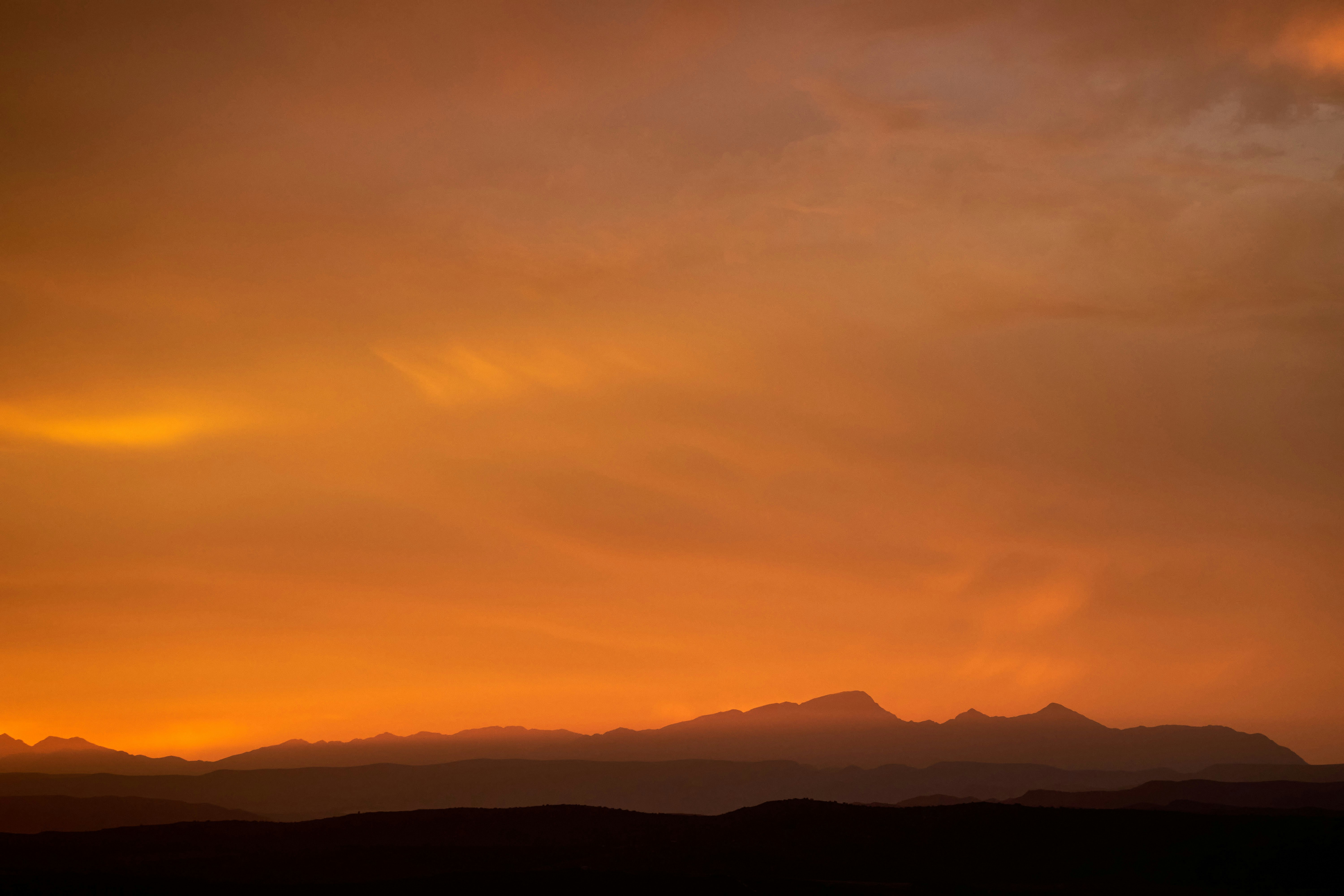 Photo by wolfgang_hasselmann