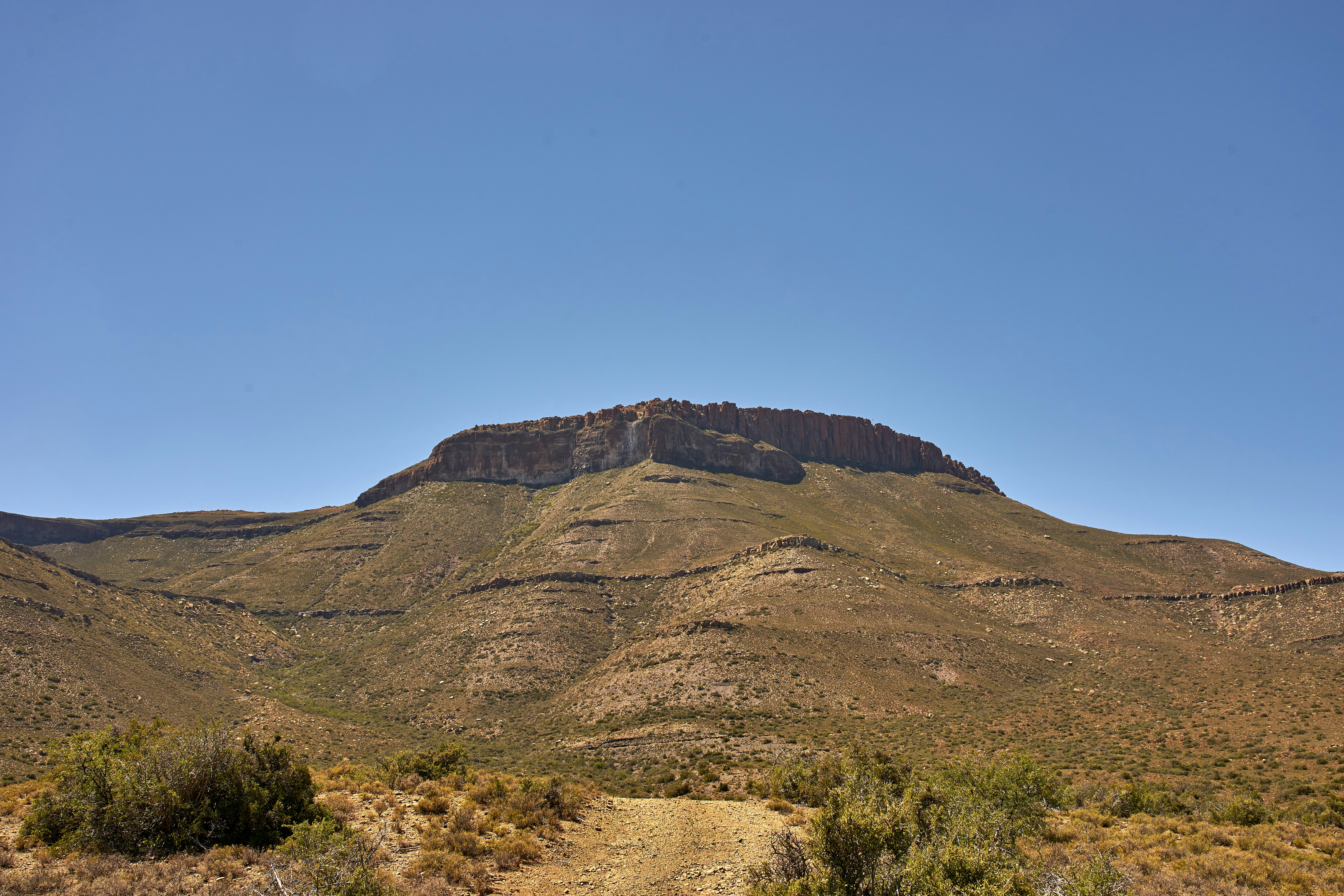 Photo by wolfgang_hasselmann