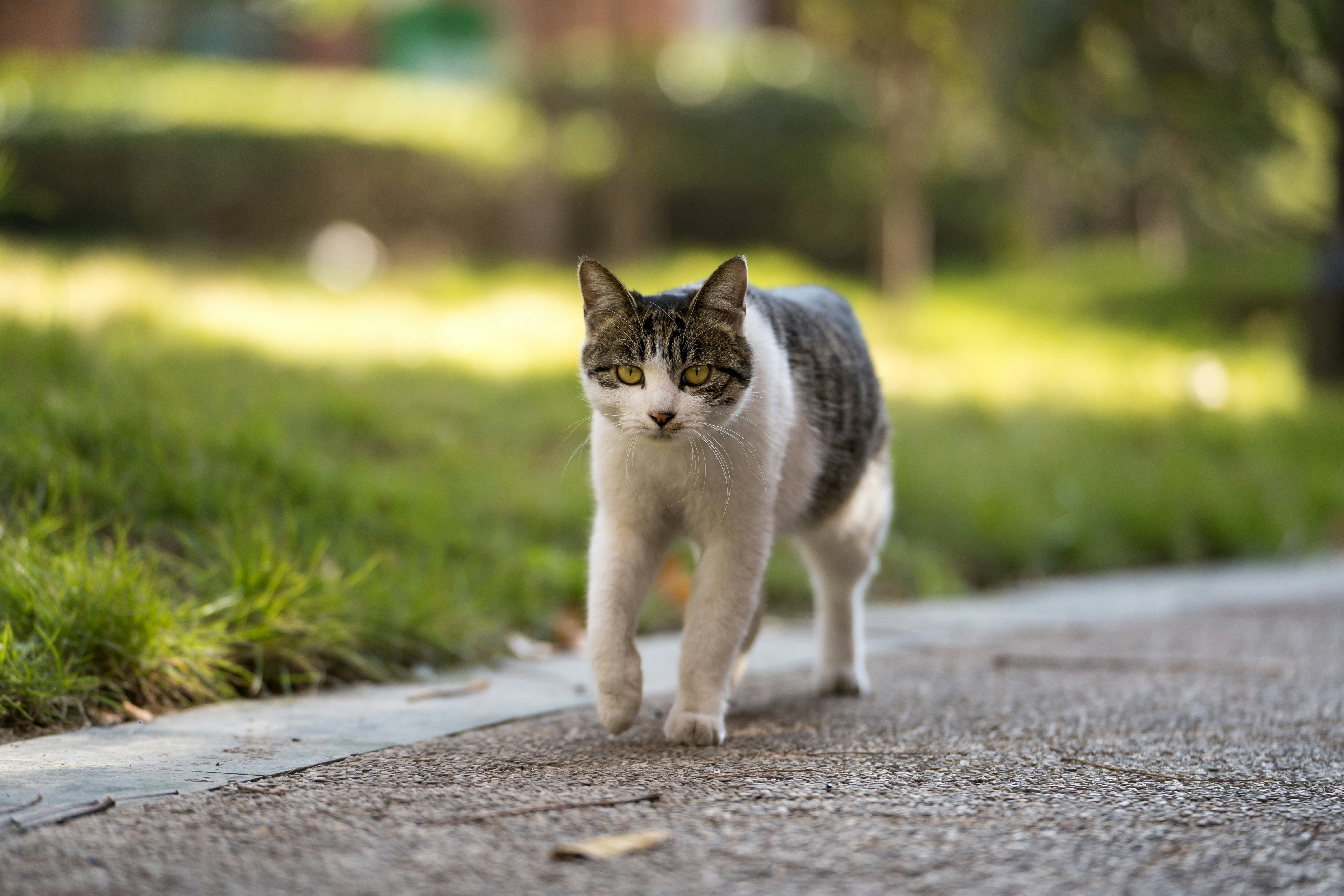 Photo by yooho962464